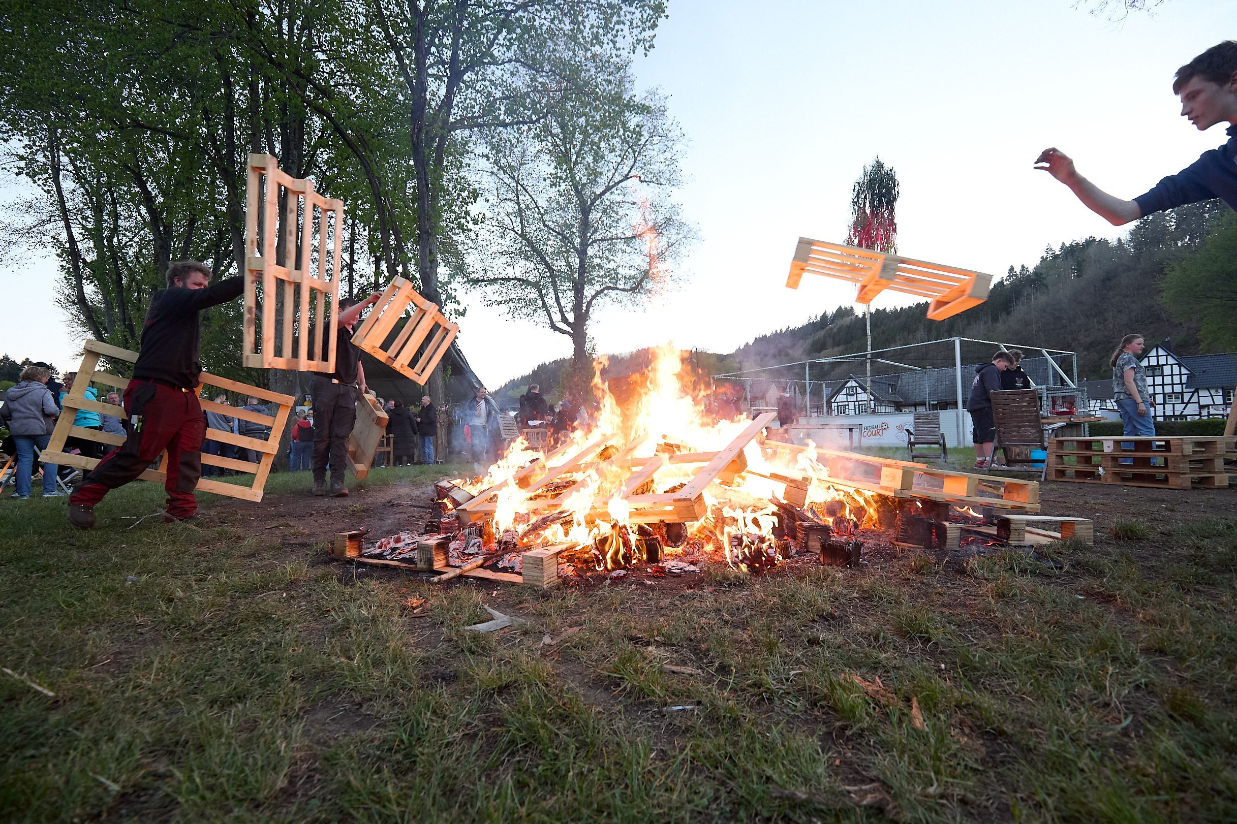 Junge Männer werfen Holzpaletten auf die brennende Feuerstelle. Im Hintergrund ist der große Dorf-Maibaum zu sehen.