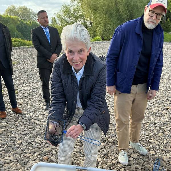Aalkönigin Marie-Agnes Strack-Zimmermann kam am Montagmorgen an den Rhein, um Aale auszusetzen.