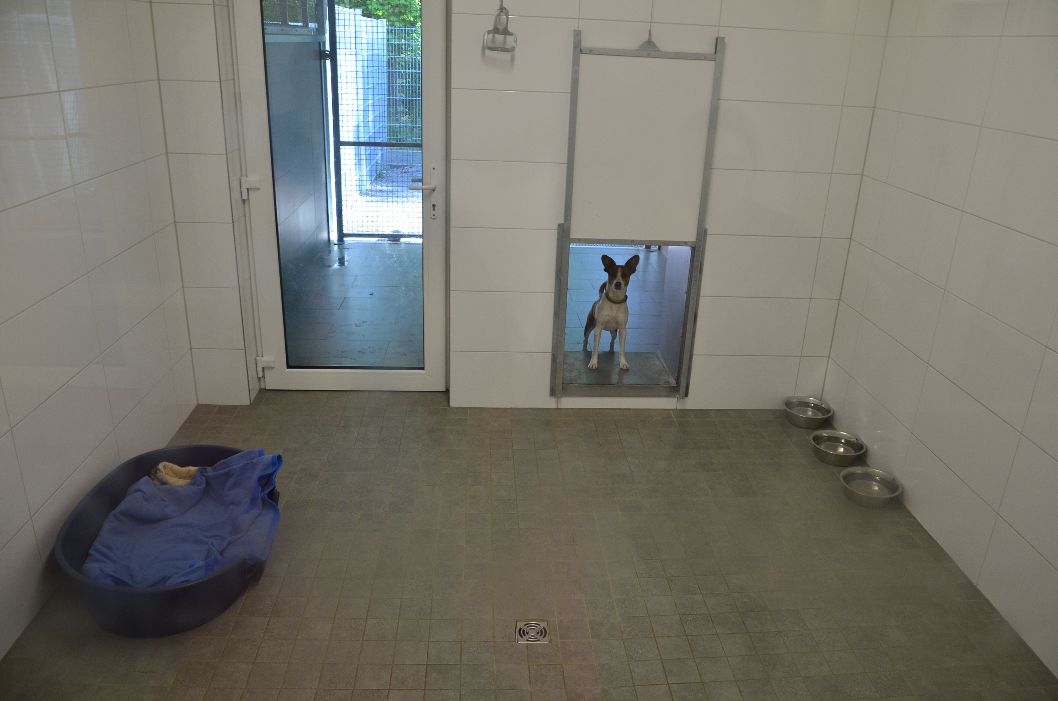 Das Foto zeigt einen Raum für einen Hund.