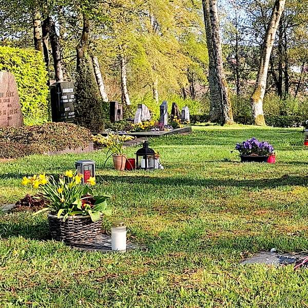 Auf den Grabplatten der Rasengräber in Schmidtheim sind Blumenschmuck, Grablichter und Figürchen zu sehen.
