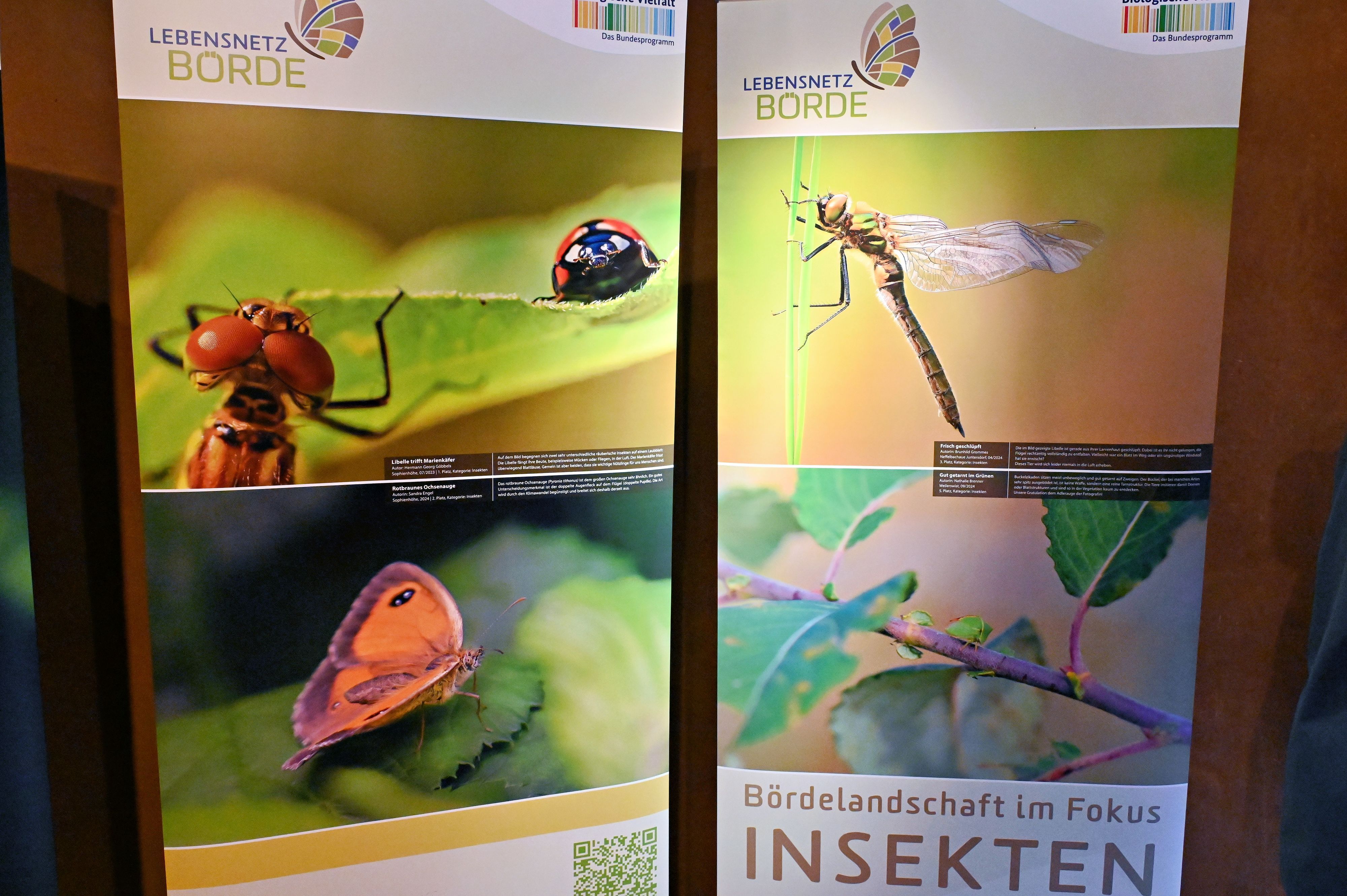 Makroaufnahmen von Tieren sind auf Aufstellern zu sehen.