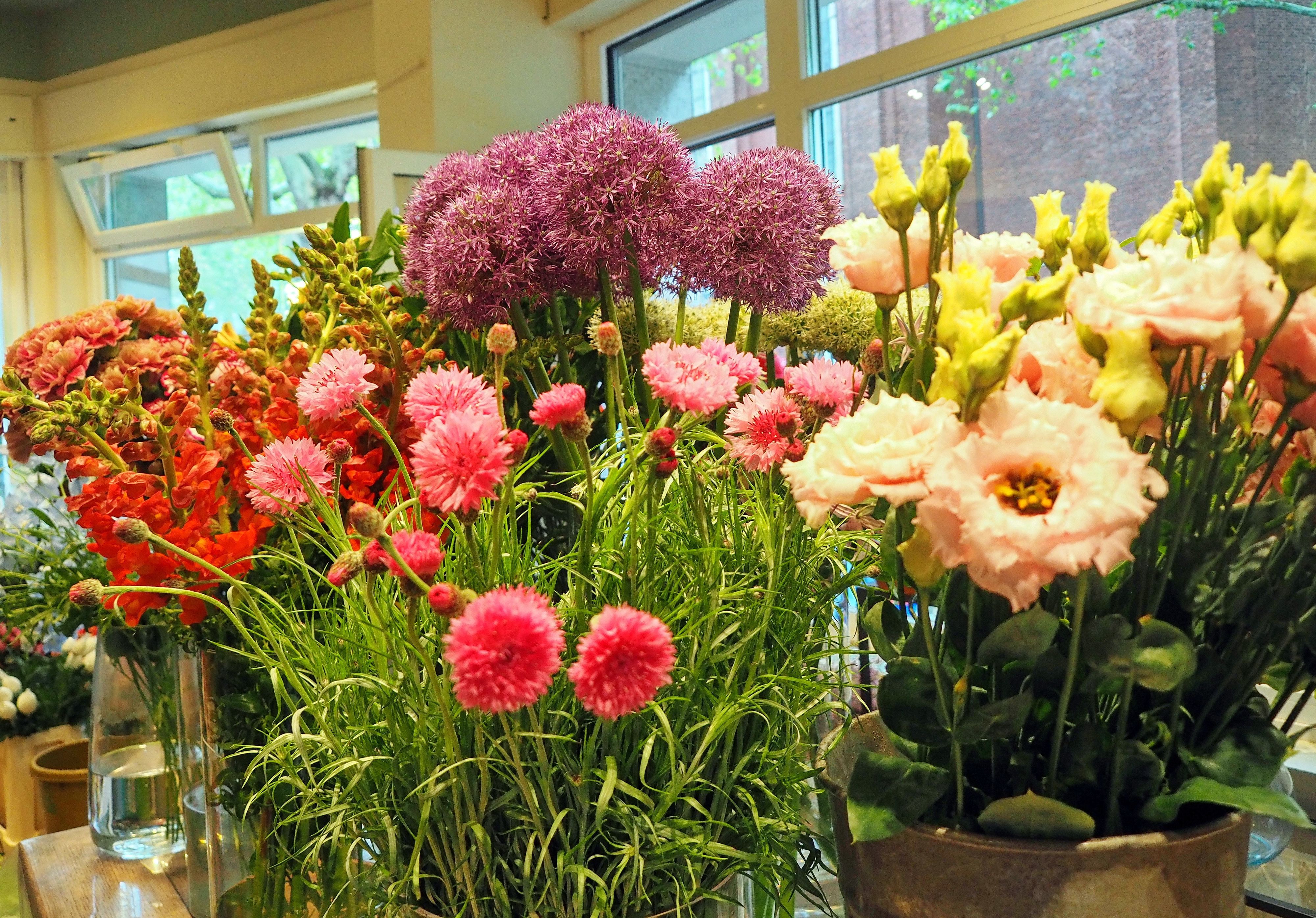 Viele verschiedene Blumenarten stehen in Vasen in einem Blumengeschäft.