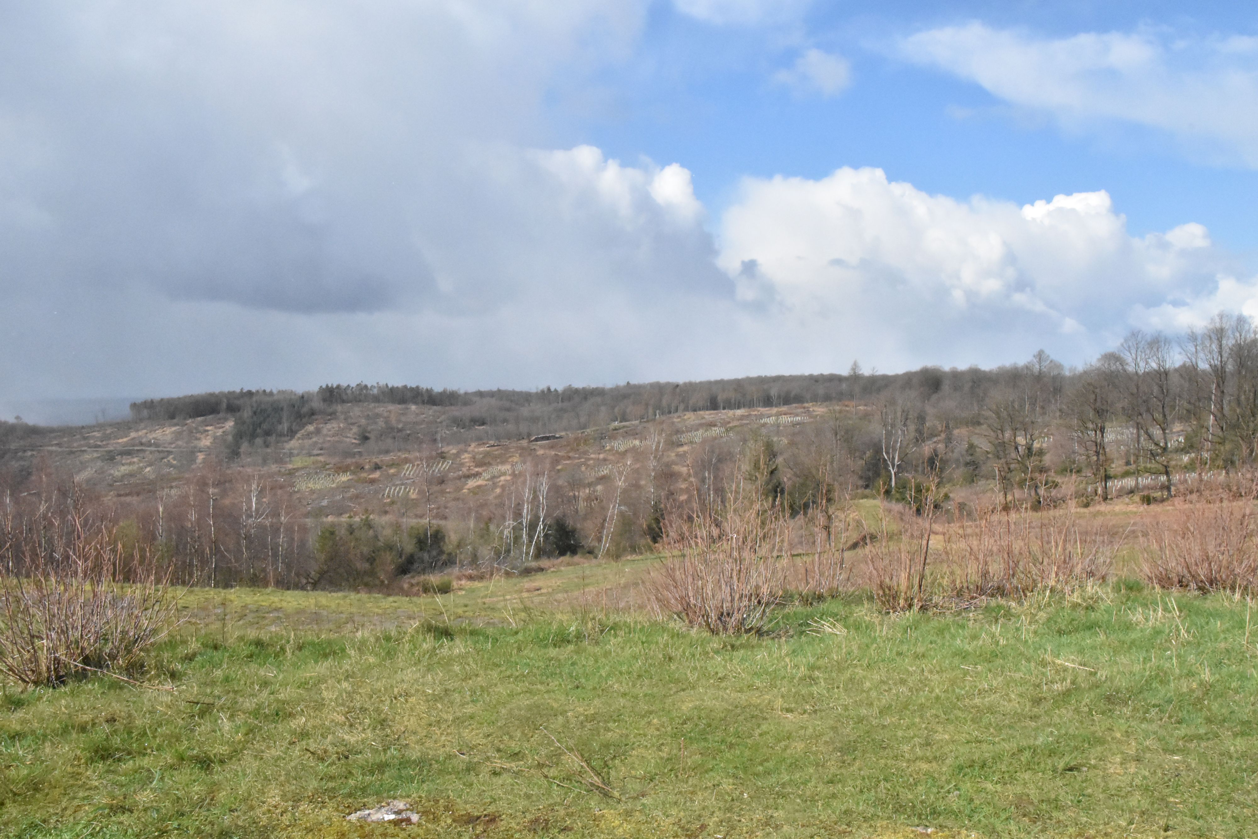Blick vom Hohen Wäldchen Richtung Westen.