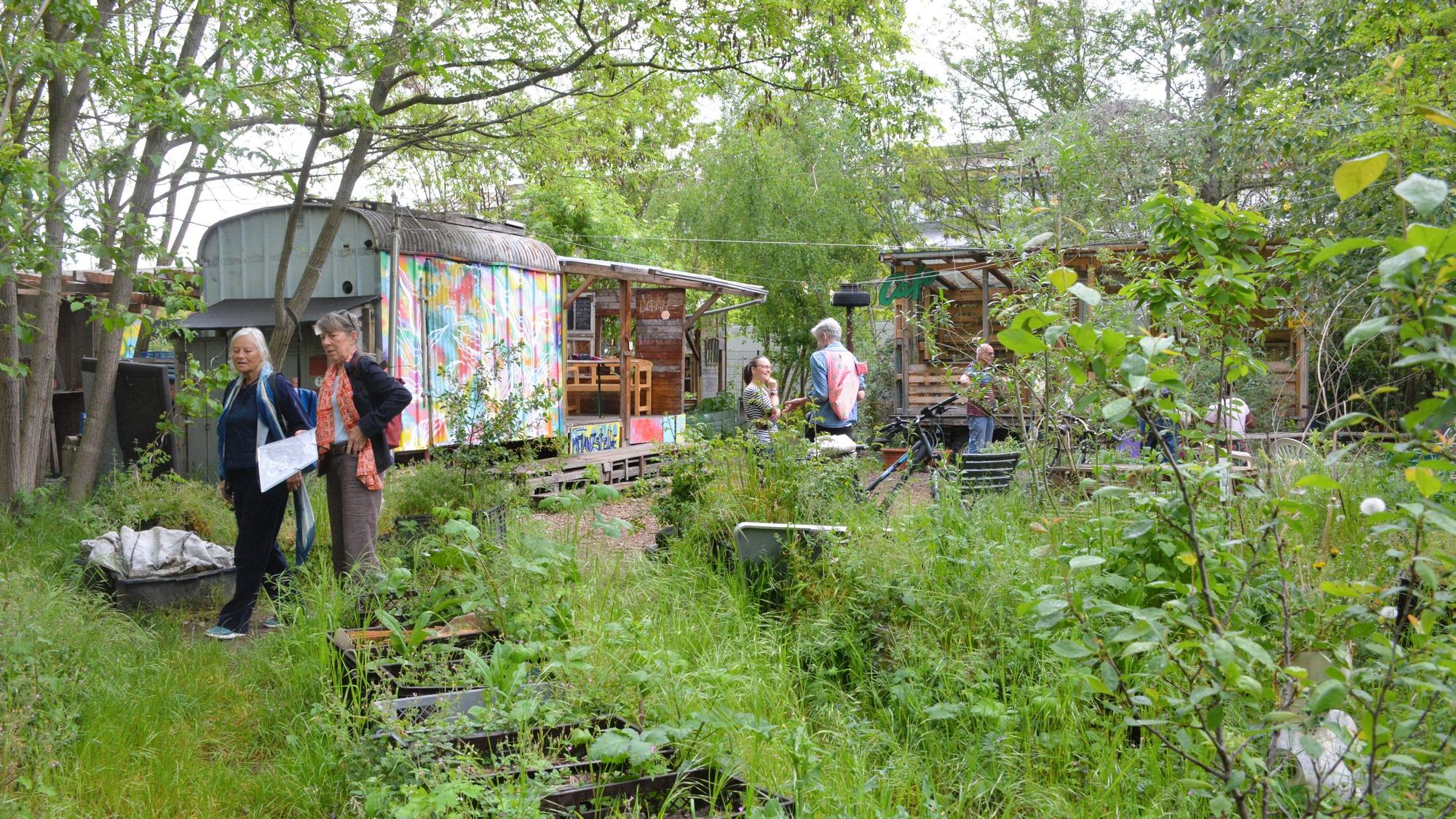Menschen laufen durch den Gemeinschaftsgarten Pflanzstelle.