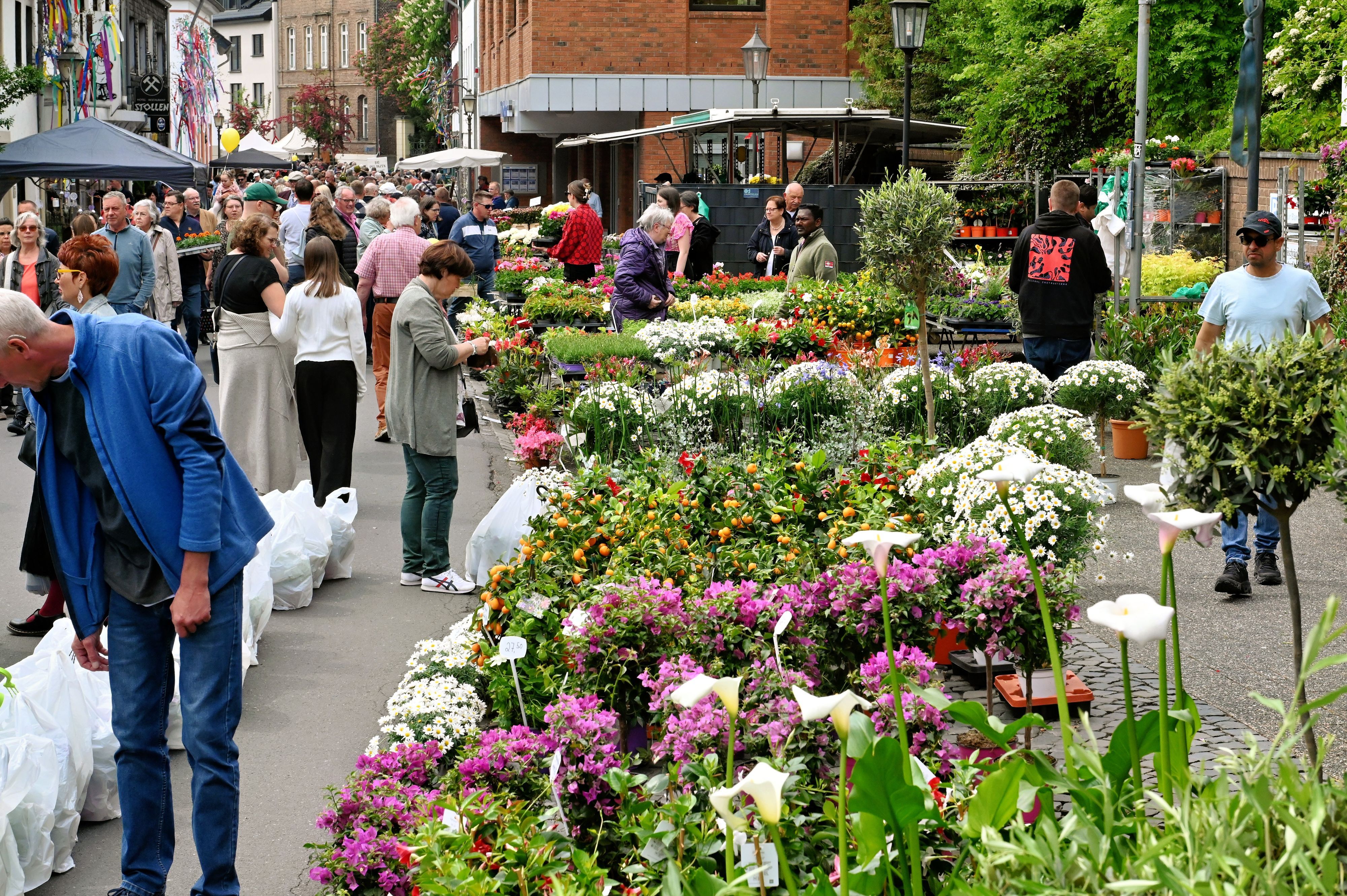 Menschen stehen an einem Stand mit vielen bunten Blumen.