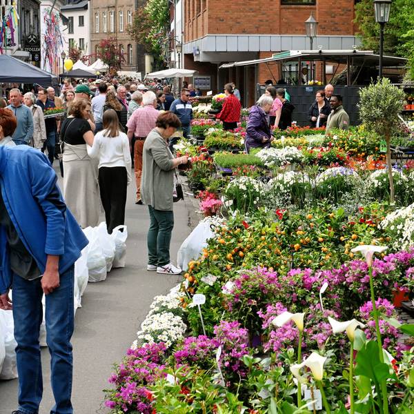 Menschen stehen an einem Stand mit vielen bunten Blumen.