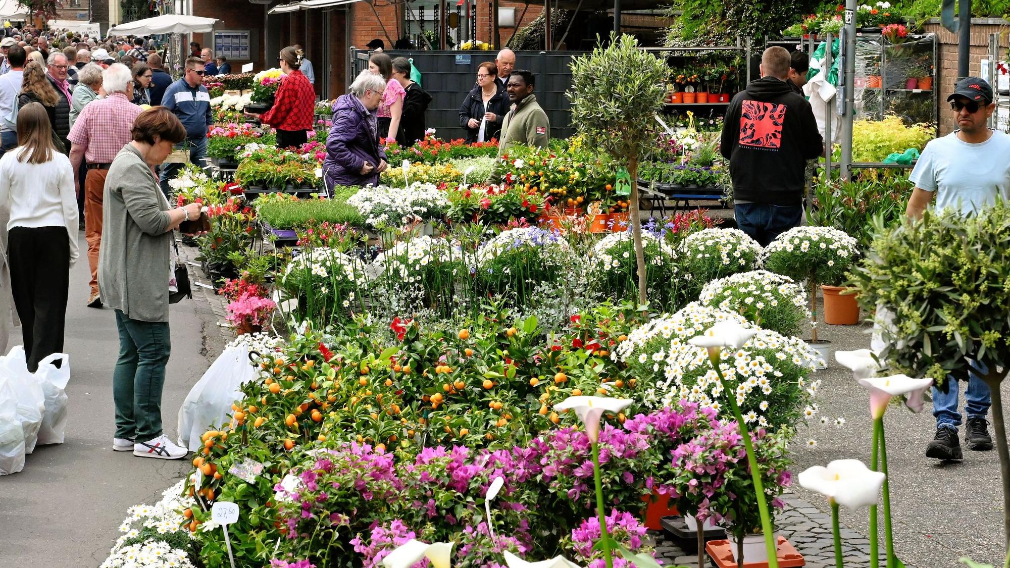 Menschen stehen an einem Stand mit vielen bunten Blumen.