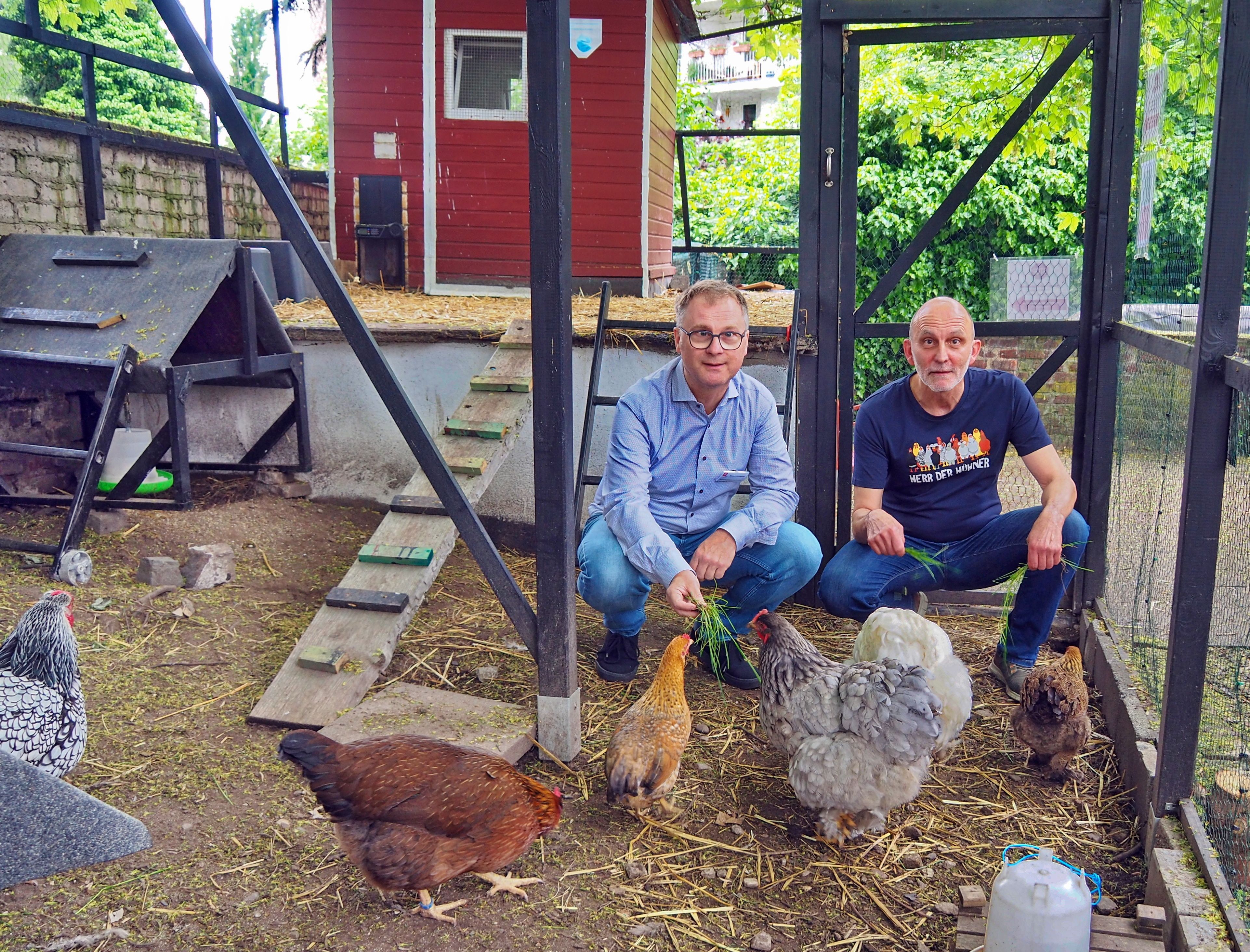 Zwei Männer hocken in einem Hühnergehege, in dem vier Tiere unterschiedlichster Arten zu sehen sind.