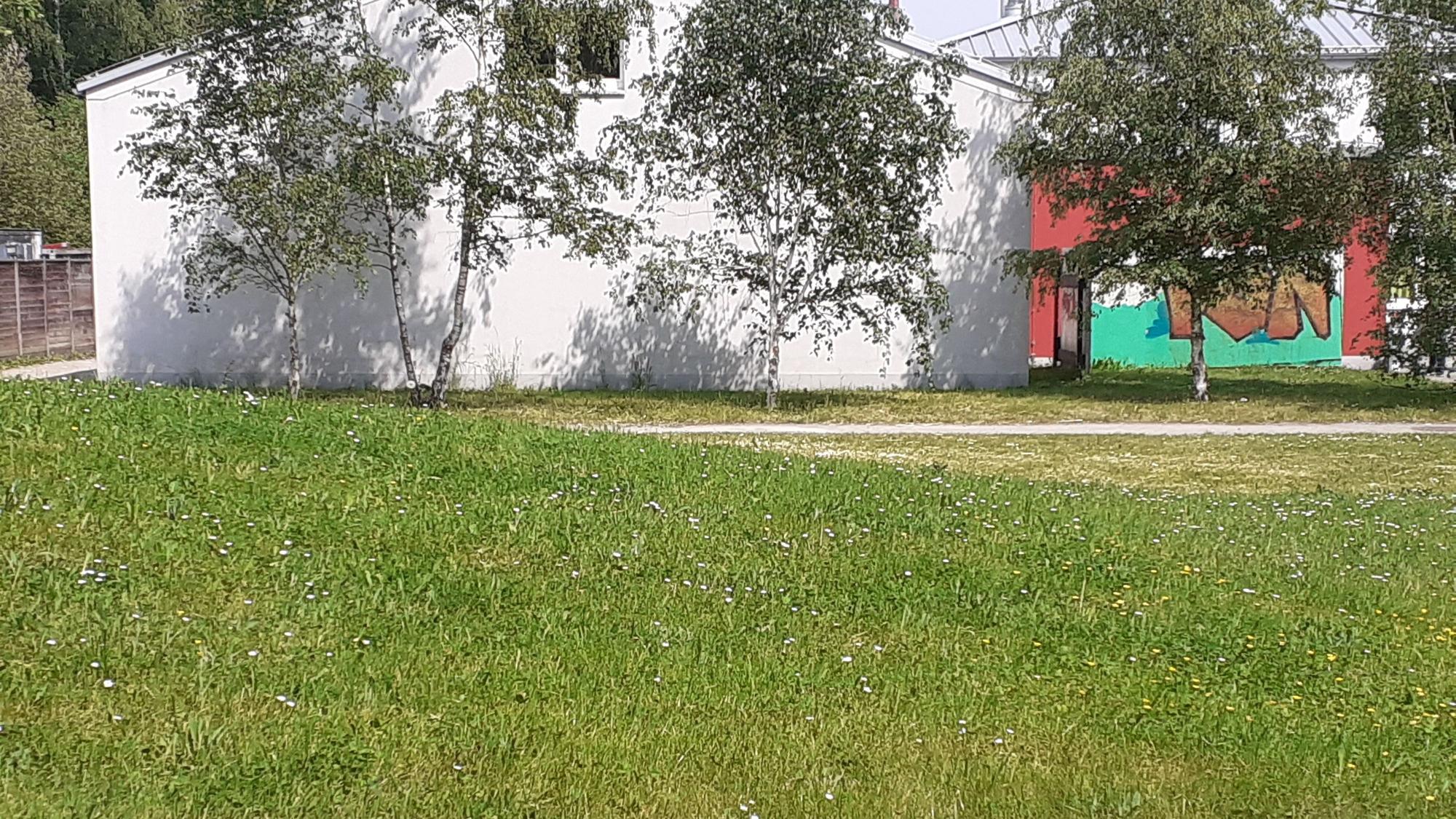 Die abgemähte Wiese am Megafon