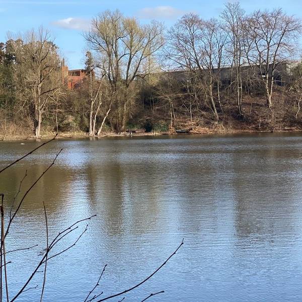 Zu sehen sind ein See und im Hintergrund Gebäude des Phantasialands.