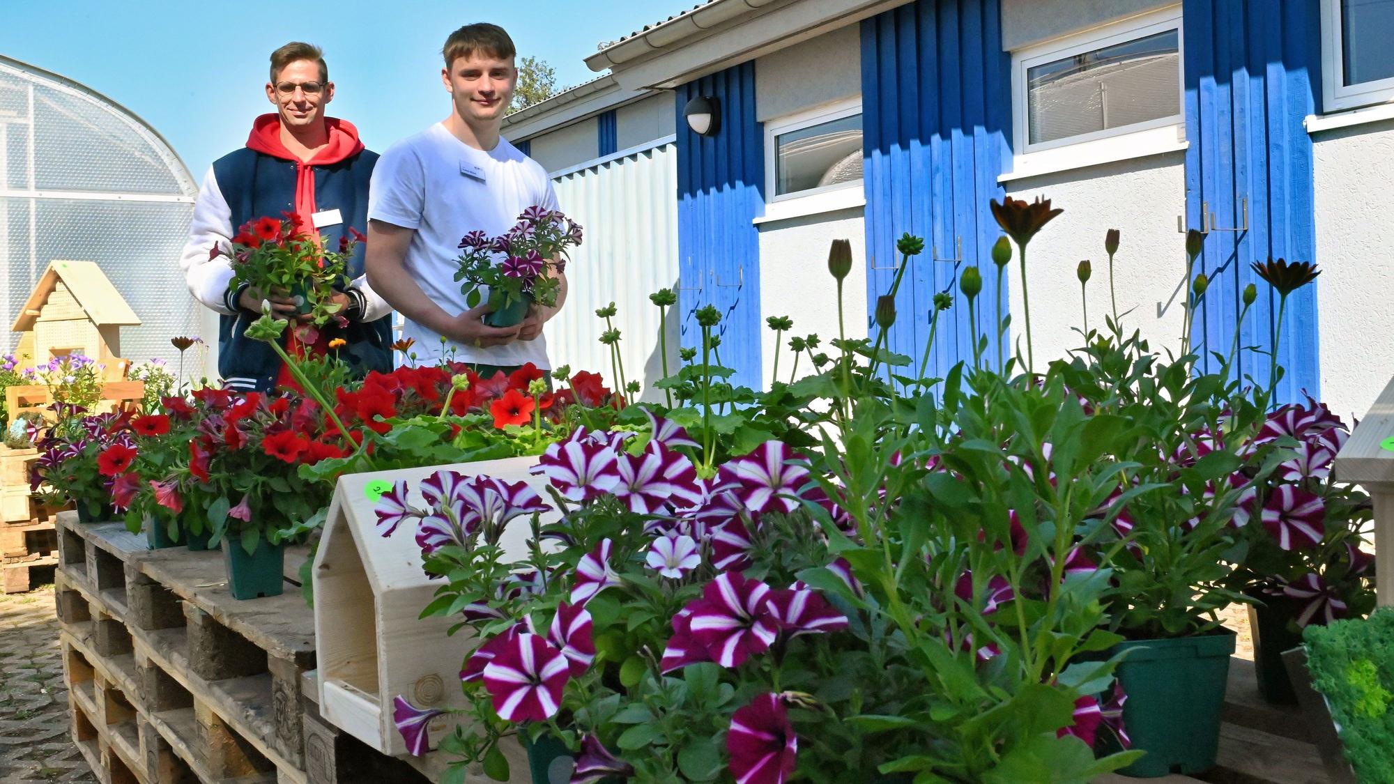 Patrick Bormer und Lukas Büser (v.l.) stehen vor einem blau-weißen Gebäude in einem Blumenmeer.