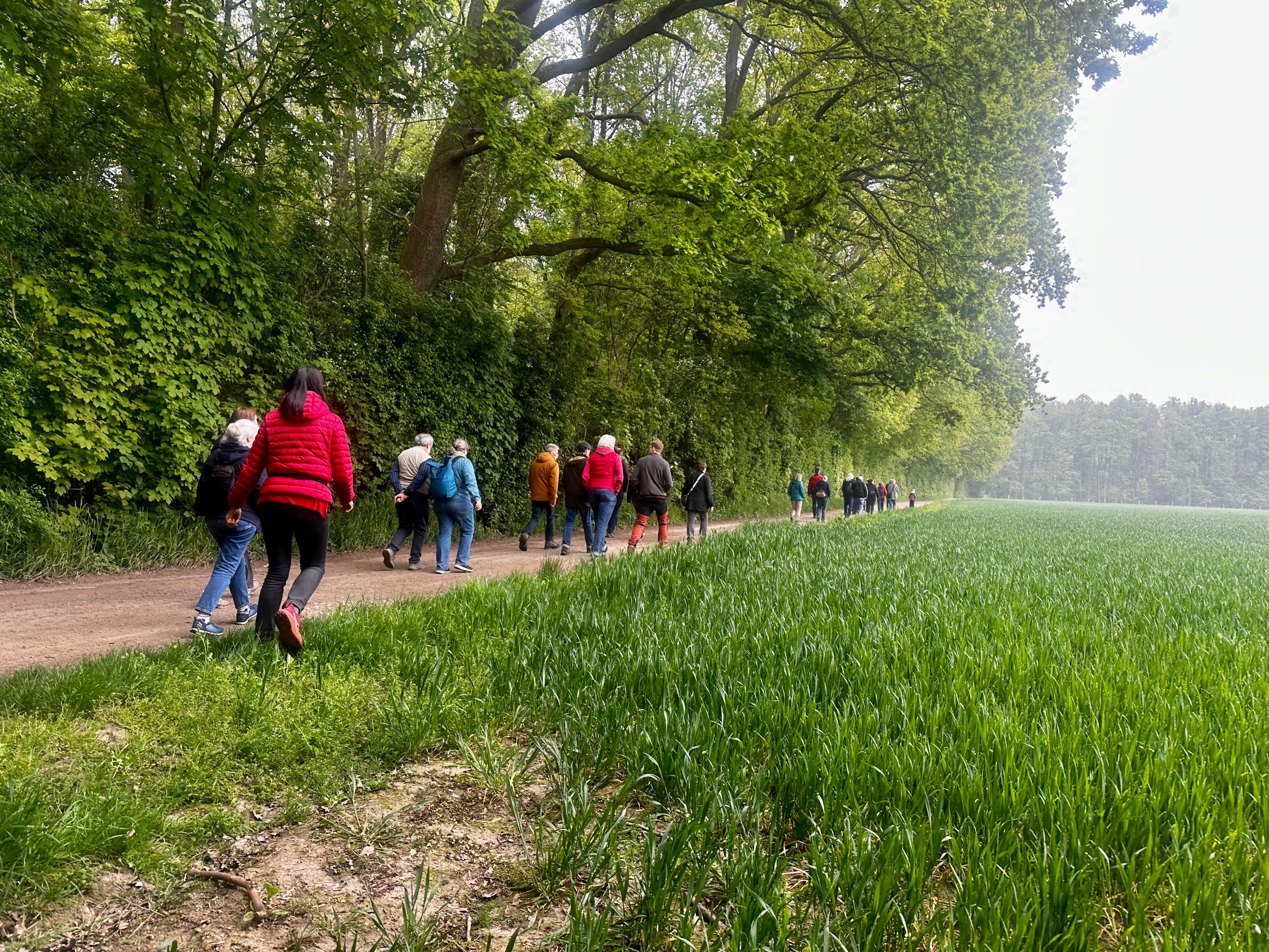 Teilnehmer der Wanderung durch den Weißer Rheinbogen, die durch die Forstverwaltung organisiert wurde.