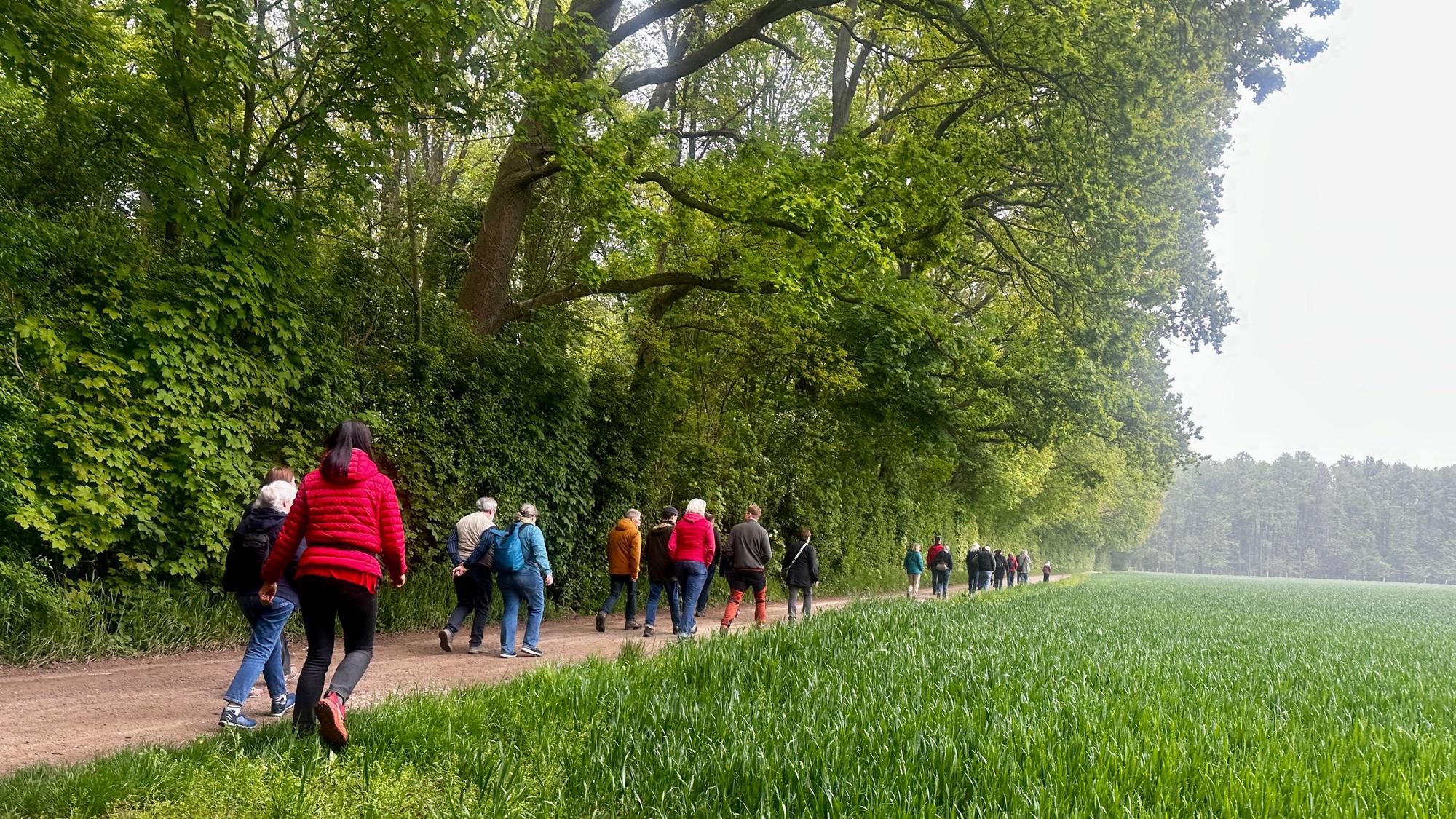 Teilnehmer der Wanderung durch den Weißer Rheinbogen, die durch die Forstverwaltung organisiert wurde.