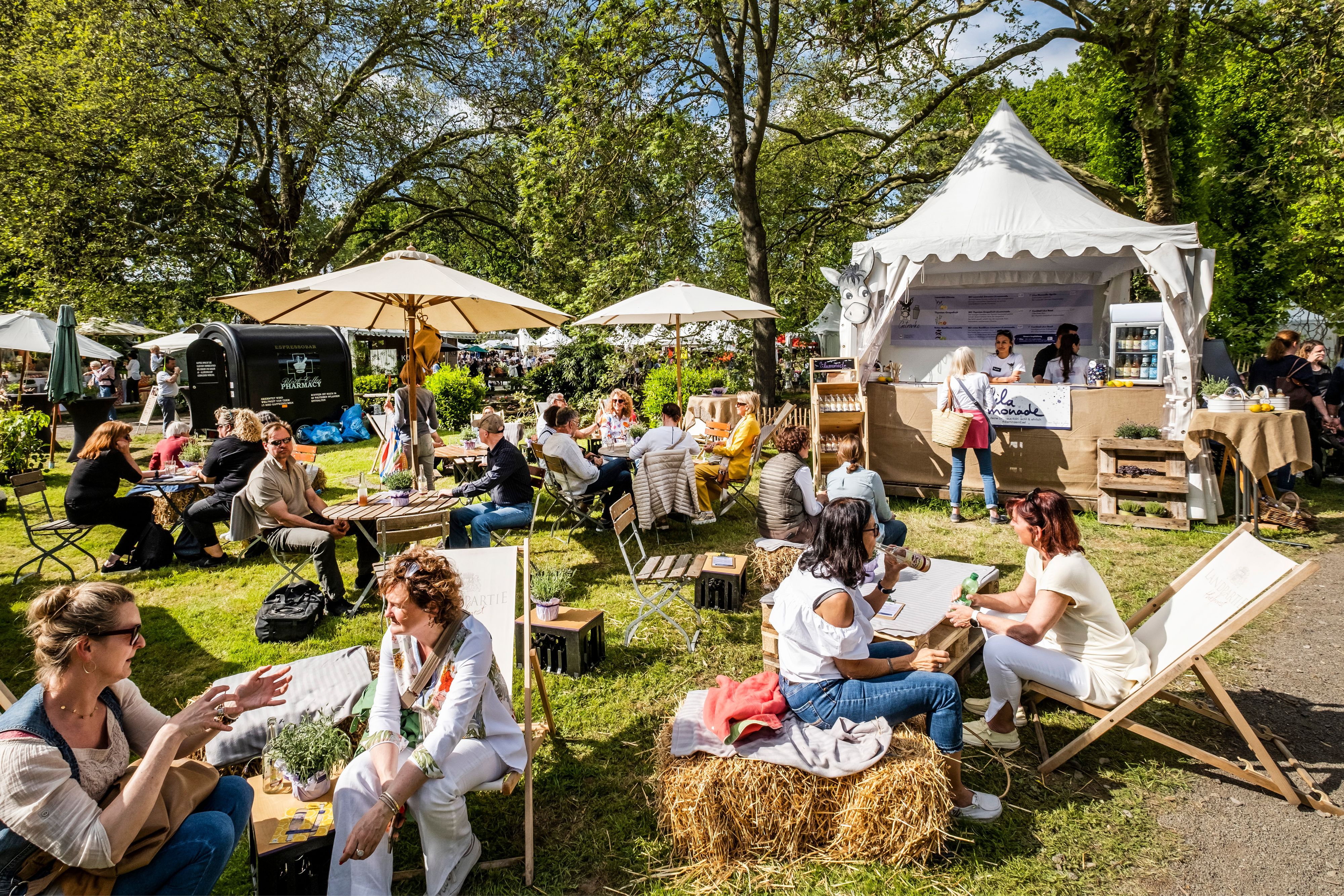 Stilvolles Picknick