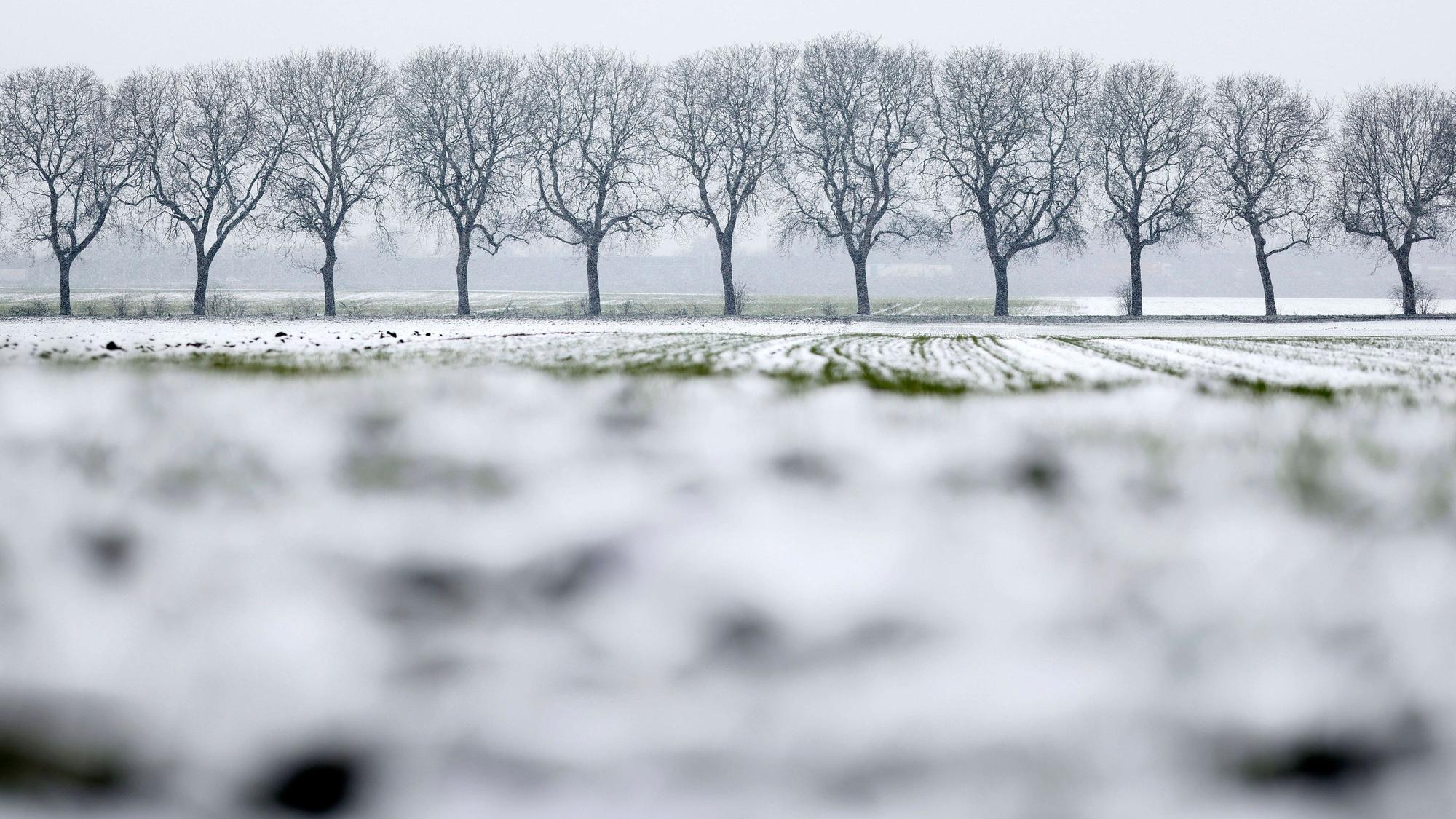 Bäume und Felder mit leichtem Schnee und Eis.