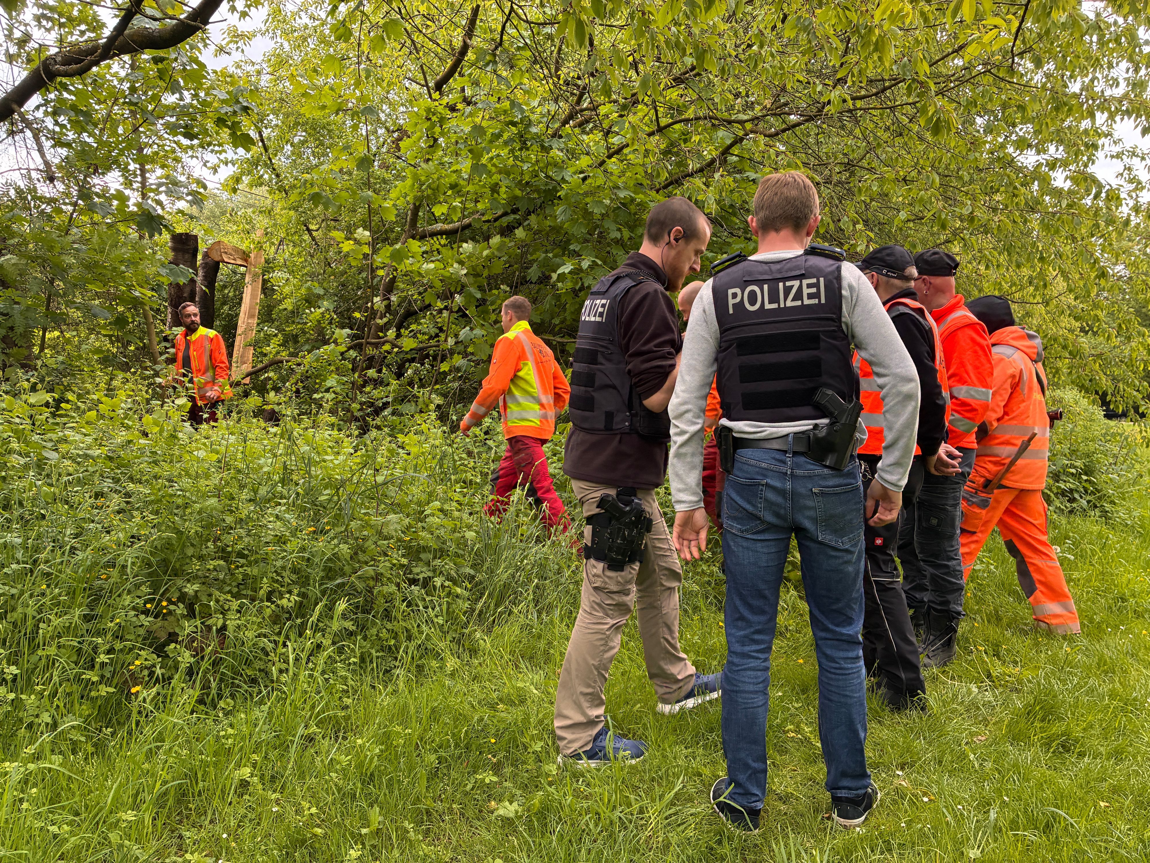 Ein auf die Oberleitung gestürzter Baumstamm hat am Dienstagvormittag erhebliche Störungen auf der KVB-Linie 7 verursacht