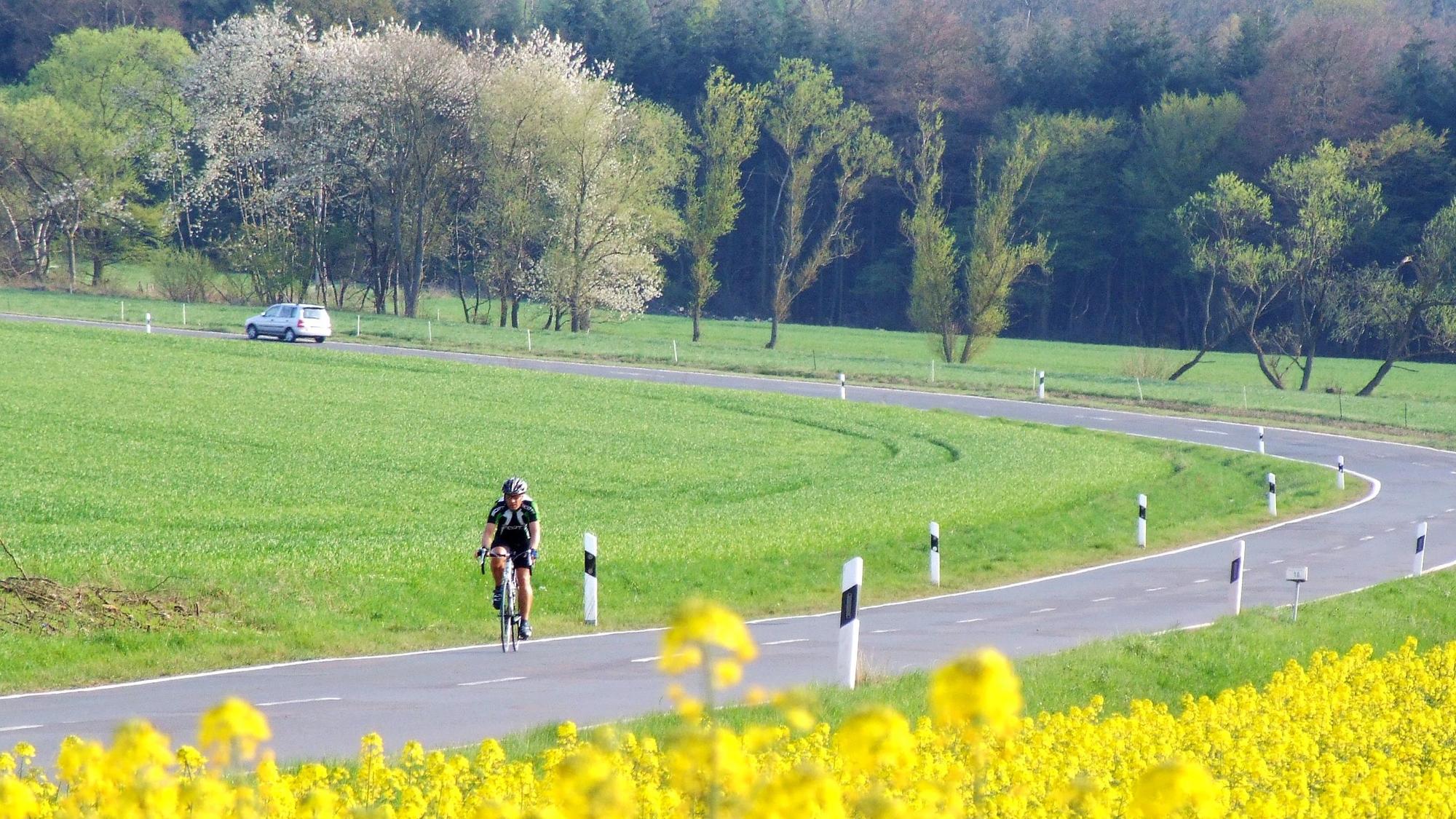 Ein Fahrradfahrer auf einer Landstraße in der Eifel (Symbolfoto).