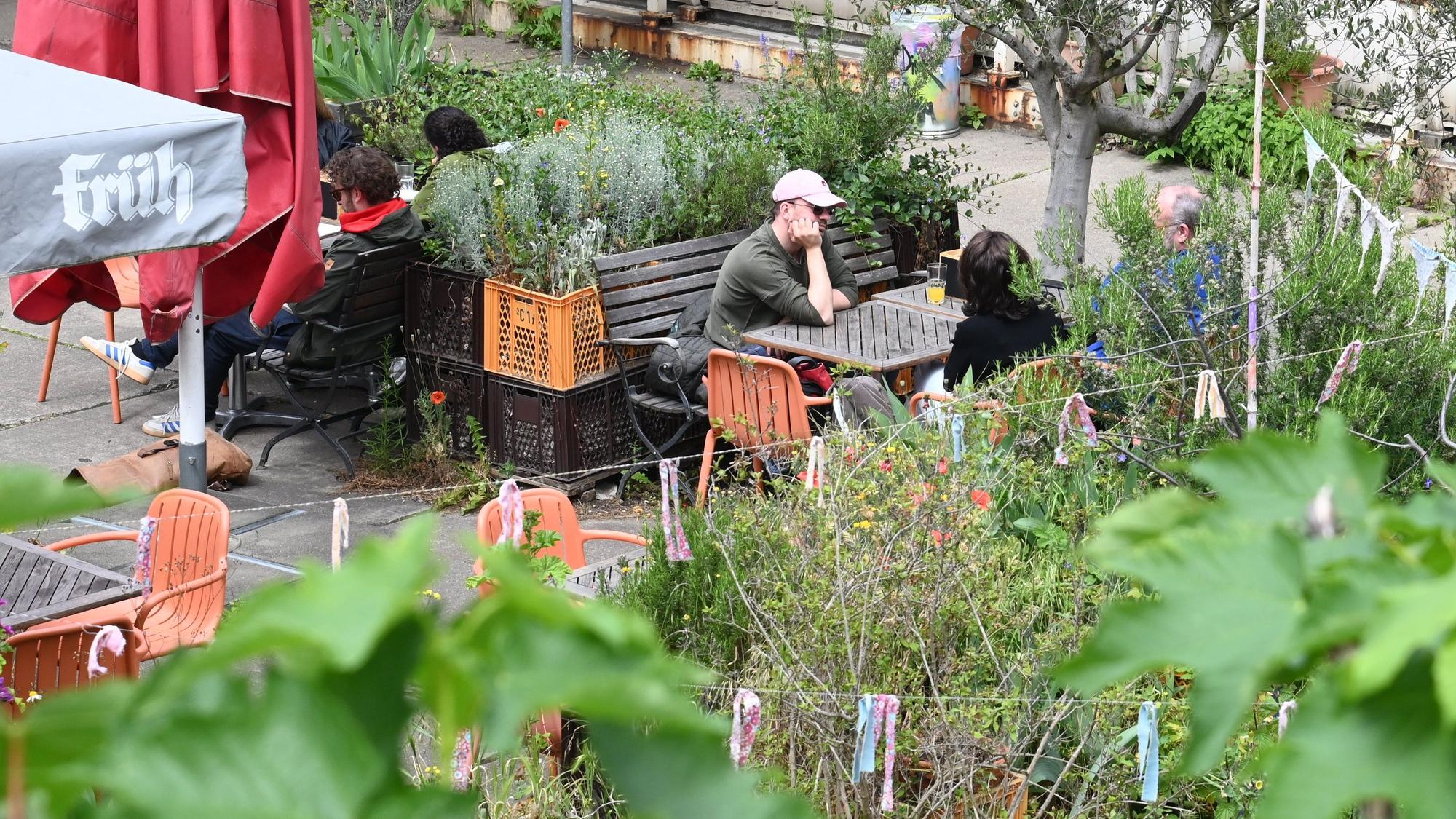 Der Carlsgarten ist ein urbaner Nutzgarten, in dem viele Insekten leben.