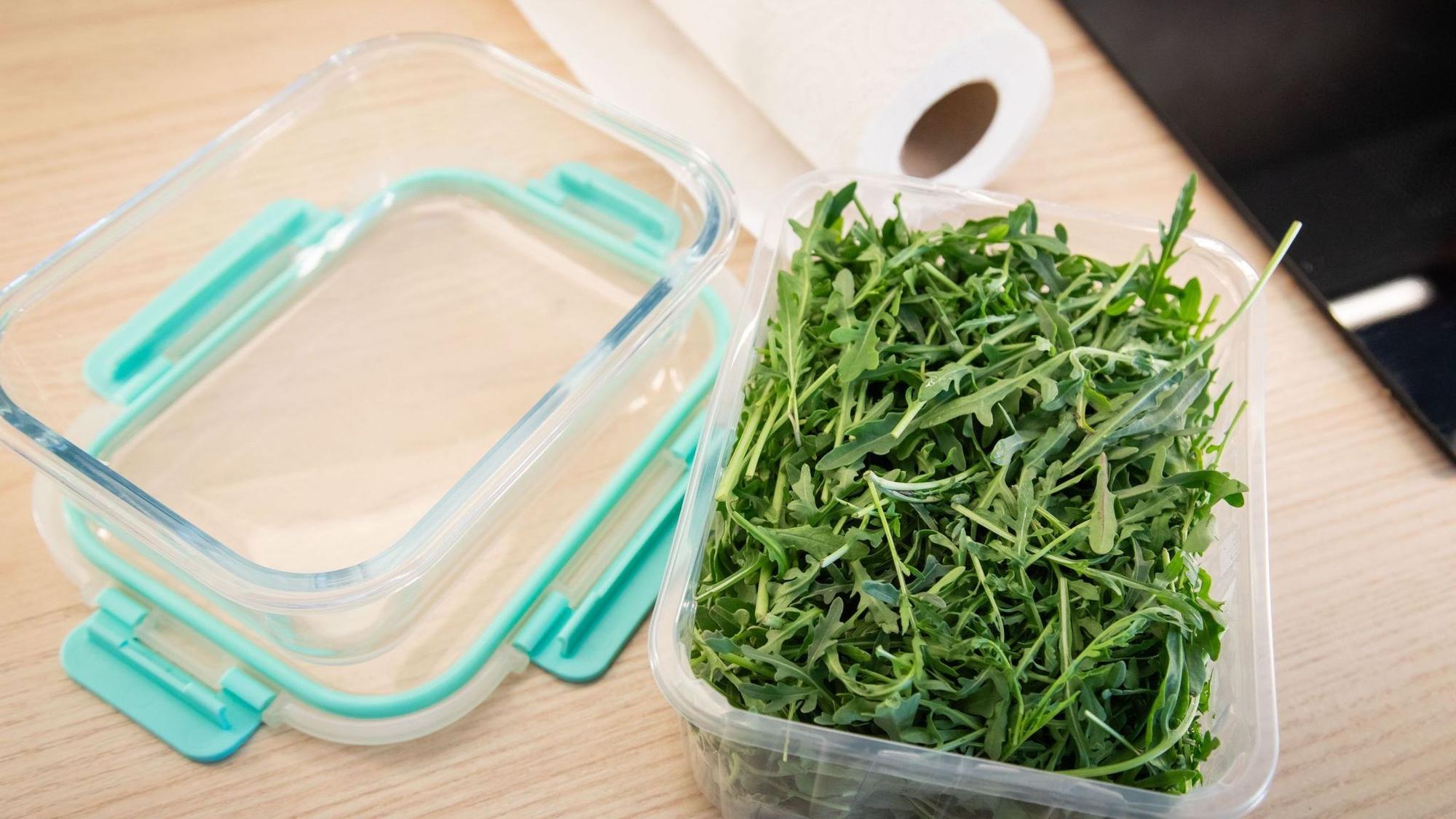 Rucola liegt in einer Frischhaltedose