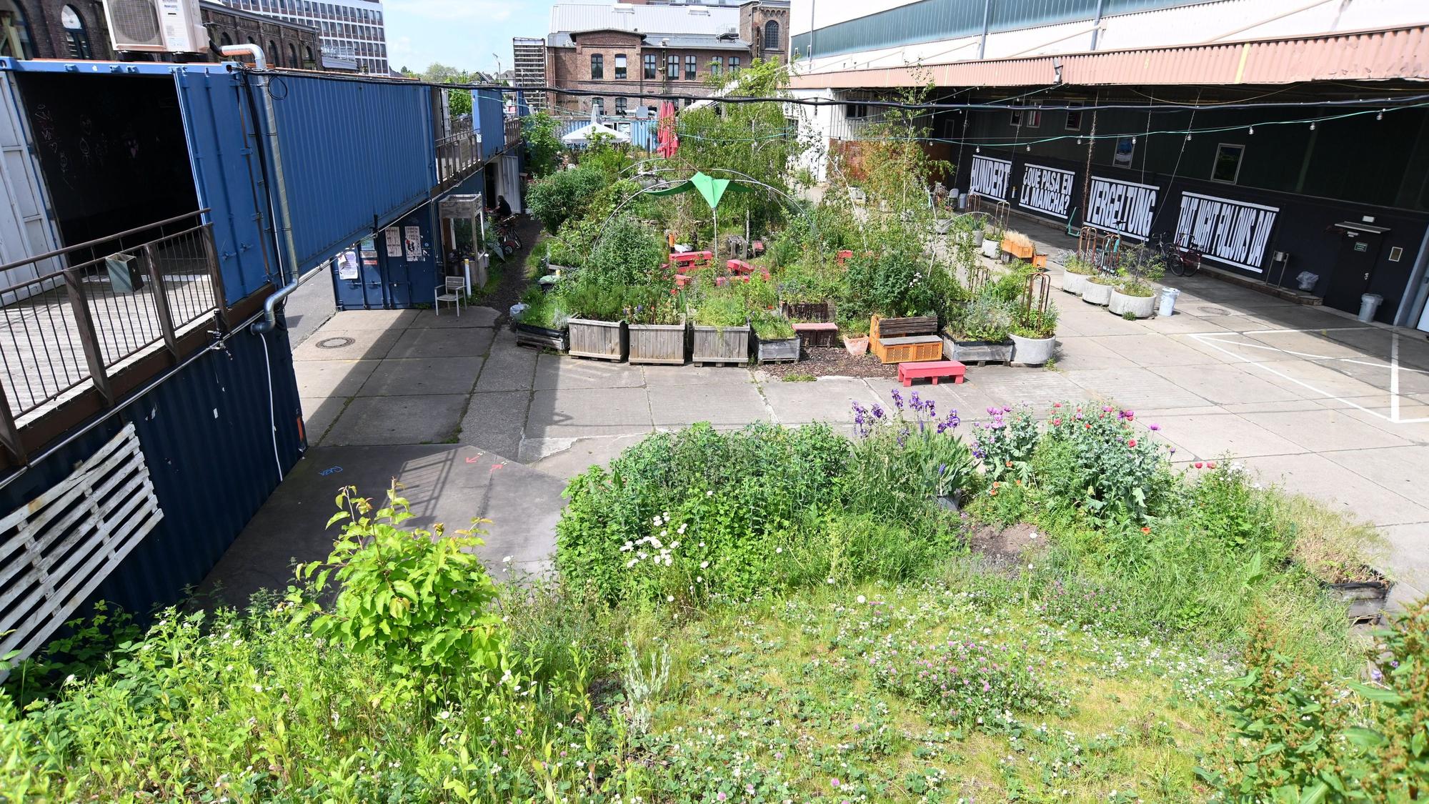 Ein urbaner Garten liegt neben einem Industriegebäude.