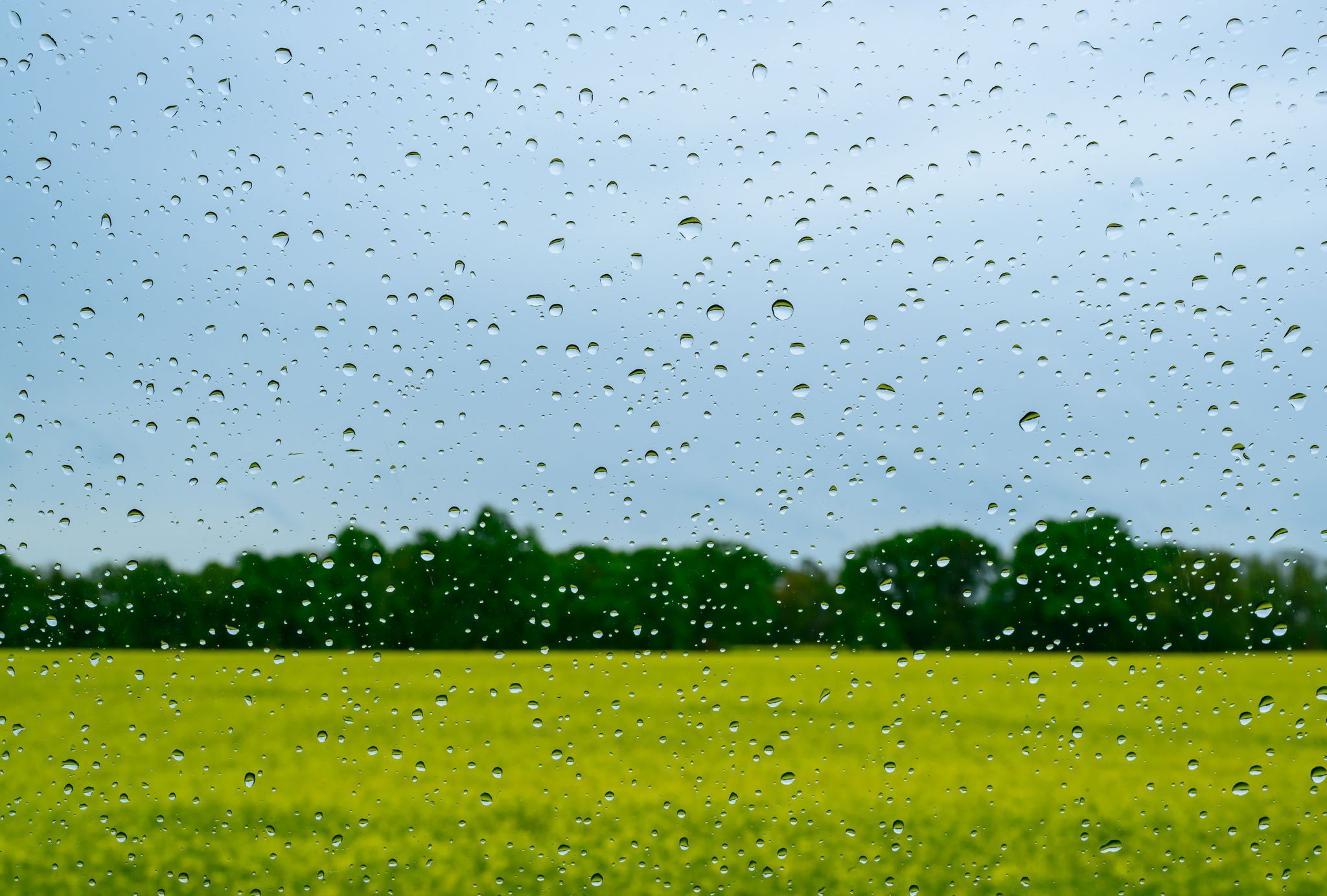 Regenwetter