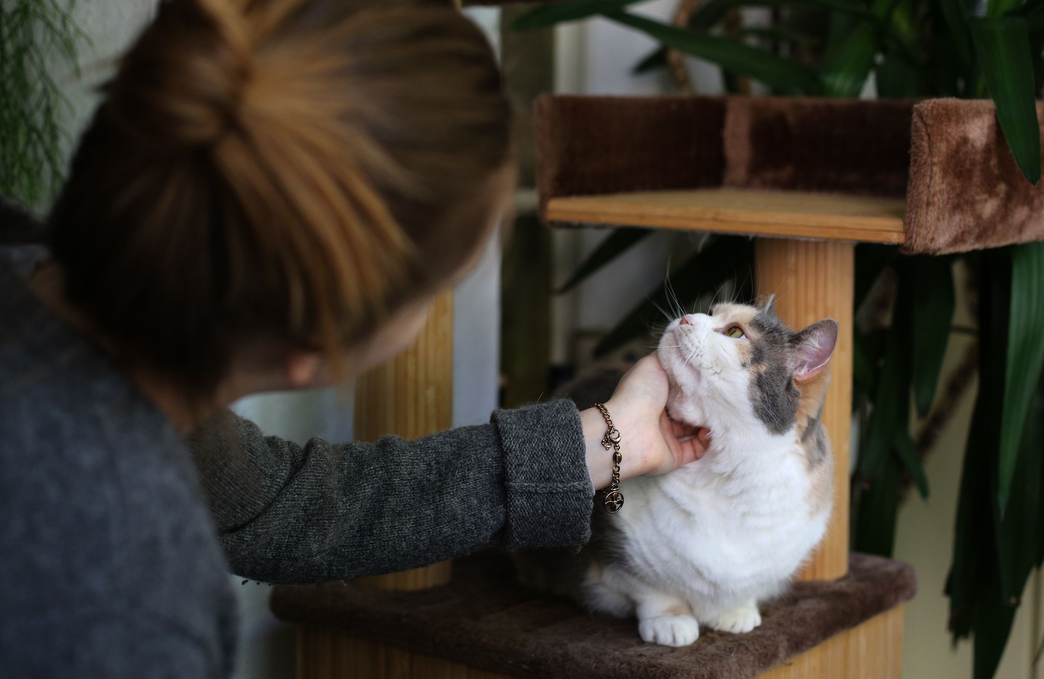Frau streichelt eine Katze