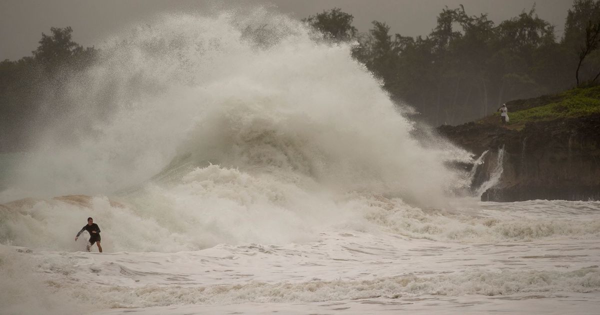 New heat records threaten: Climate researchers see development similar to ...
