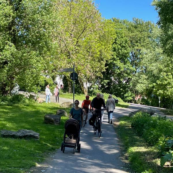 Radfahrer, Fußgänger und eine Frau mit Kinderwagen sind auf einem schmalen Radweg in einem Wald unterwegs.