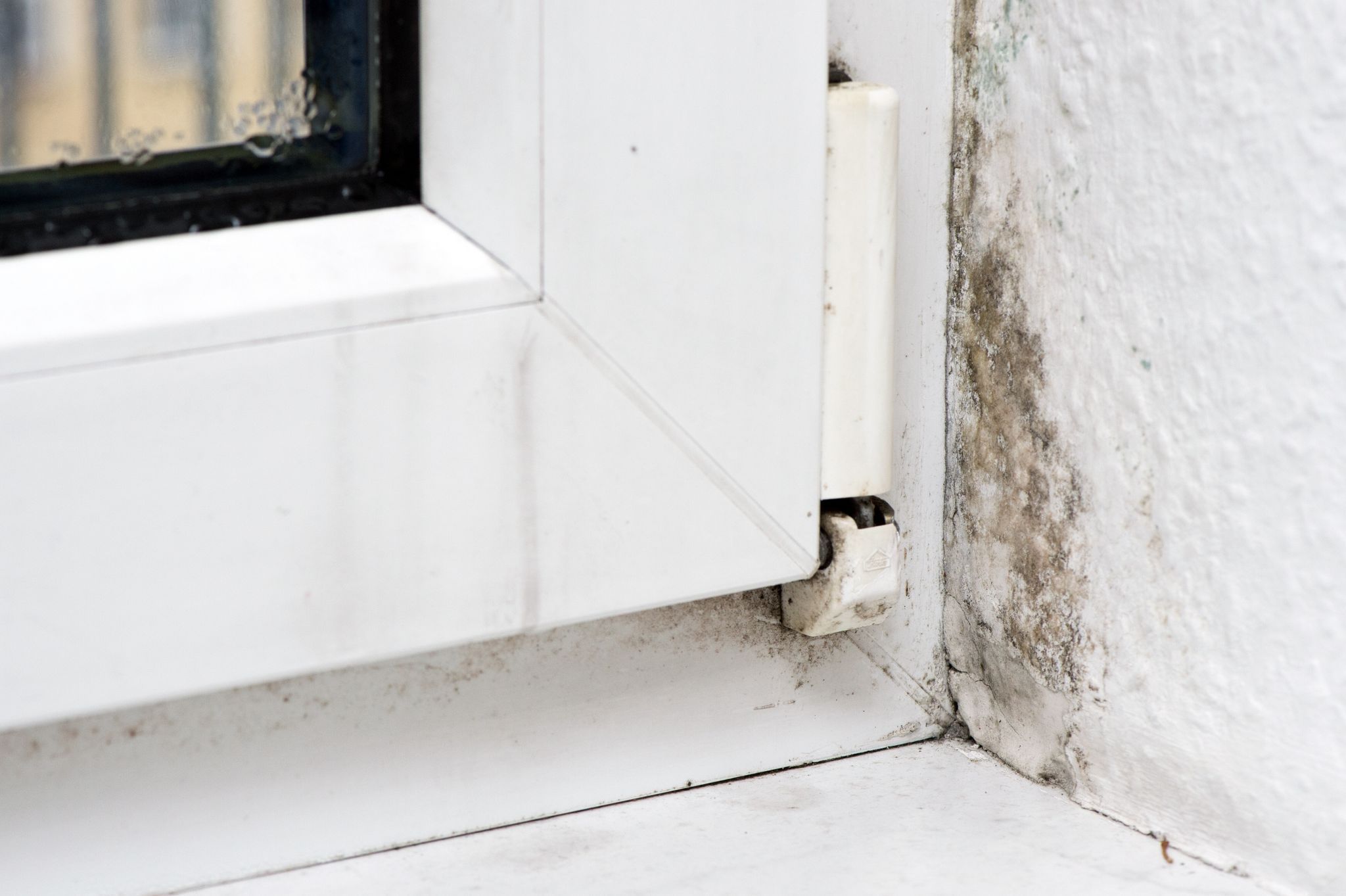 Schimmel am Fenster einer Wohnung