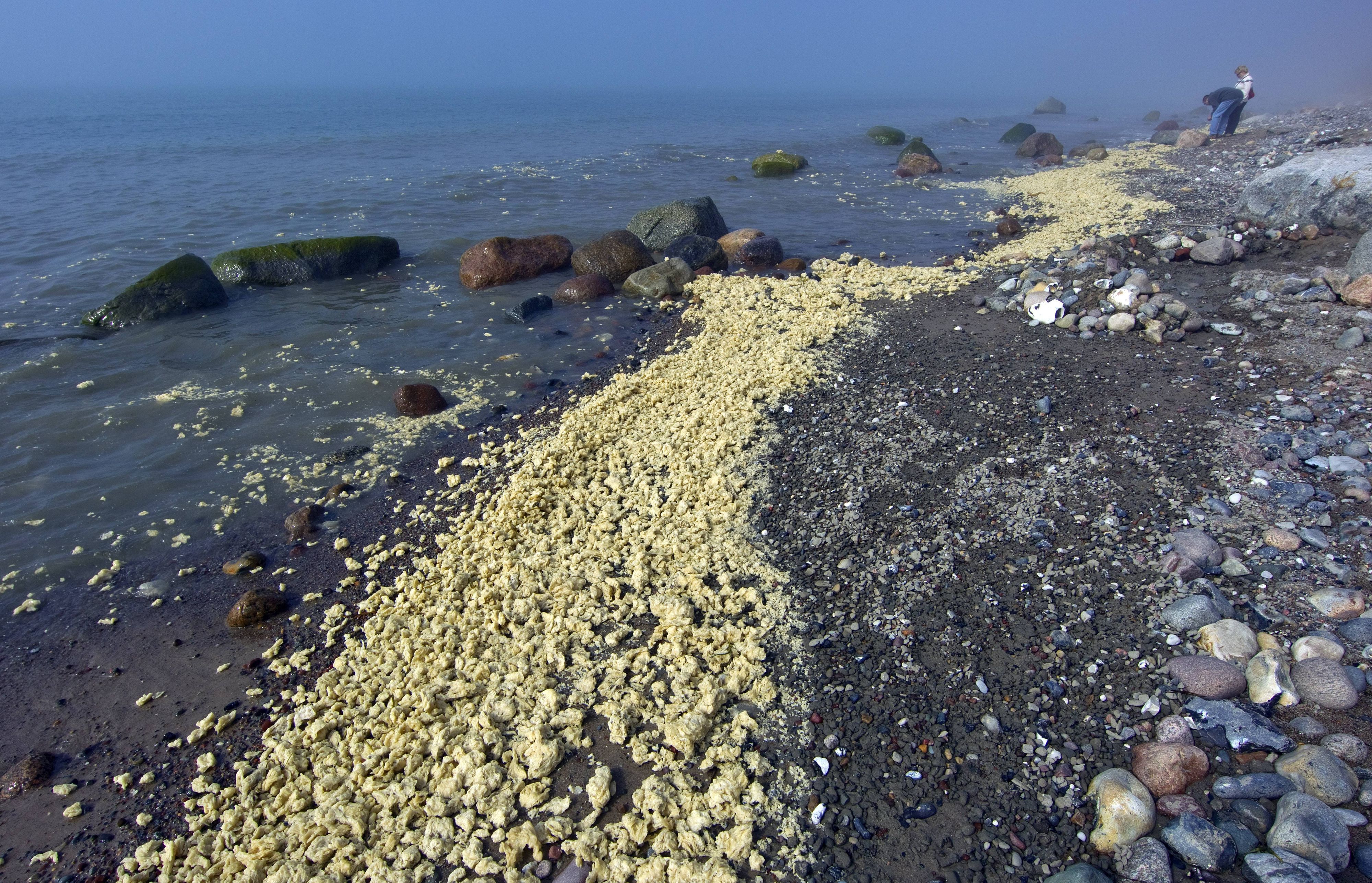 2010 wurde auf der Insel Rügen am Strand auf etwa 18 Kilometern Paraffin-Stücke entdeckt.