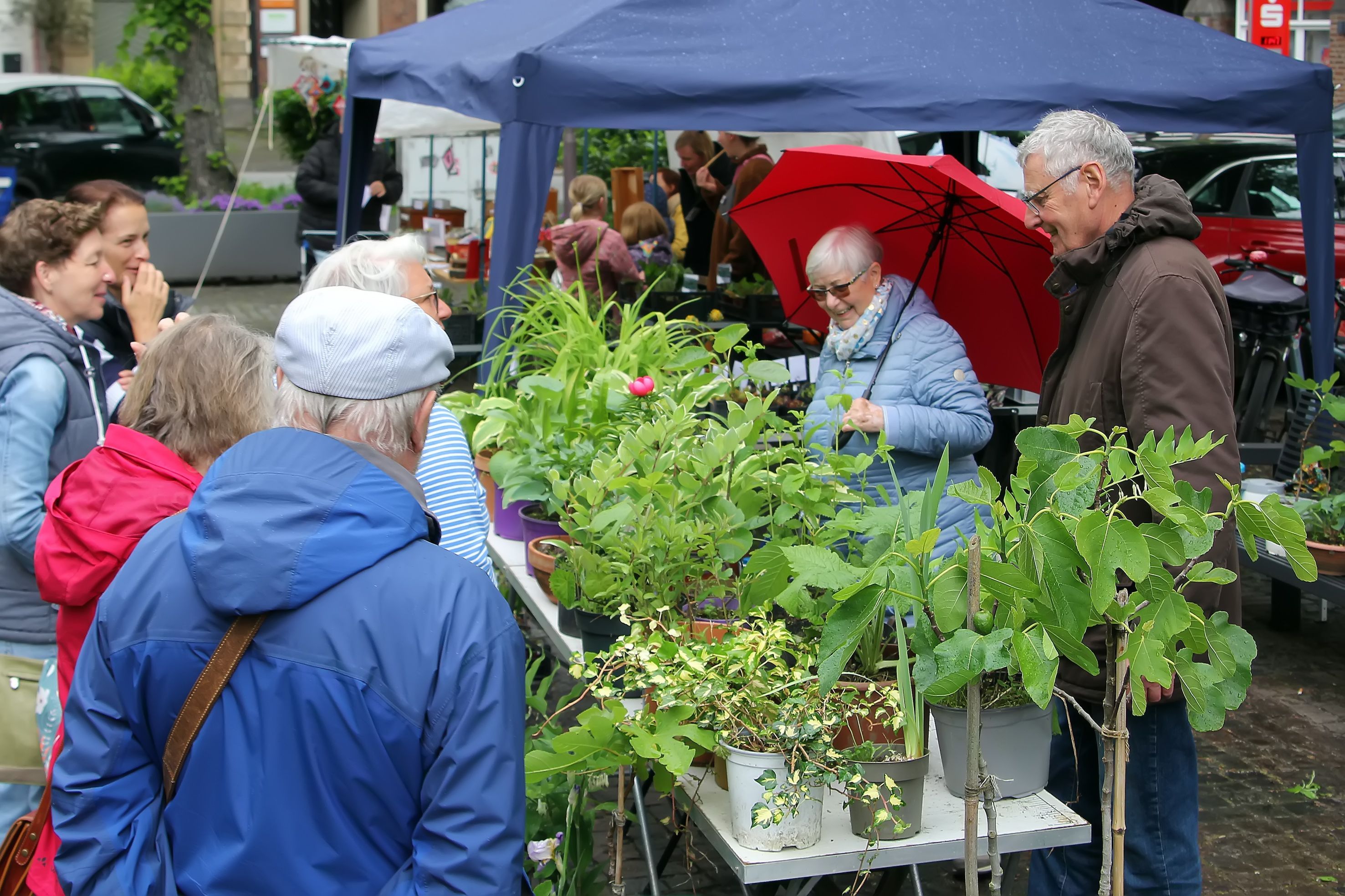 Das Foto zeigt Menschen auf einem Pflanzenmarkt.