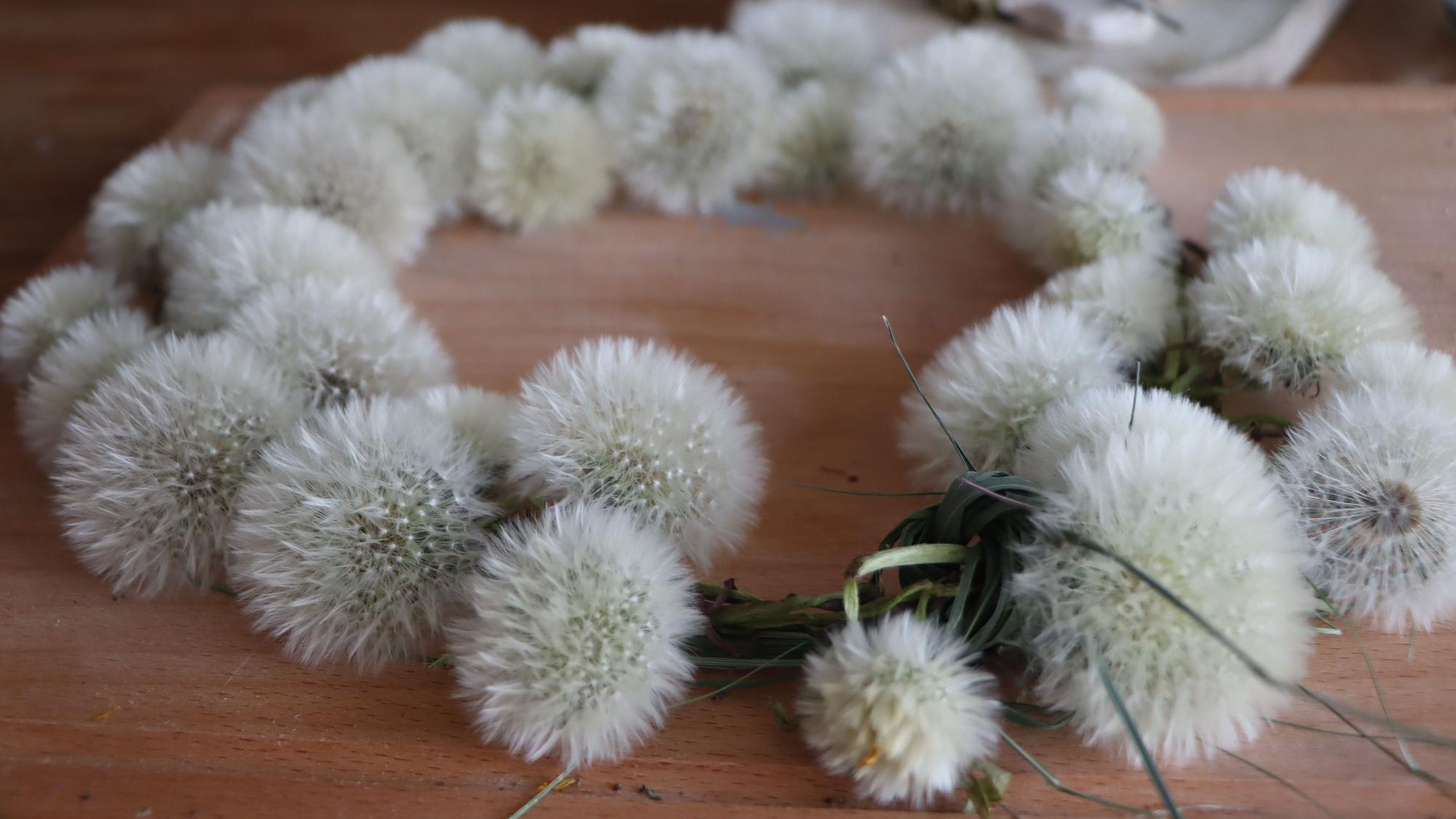 Blüten von Pusteblumen liegen als Krone geflochten auf einem Holztisch.
