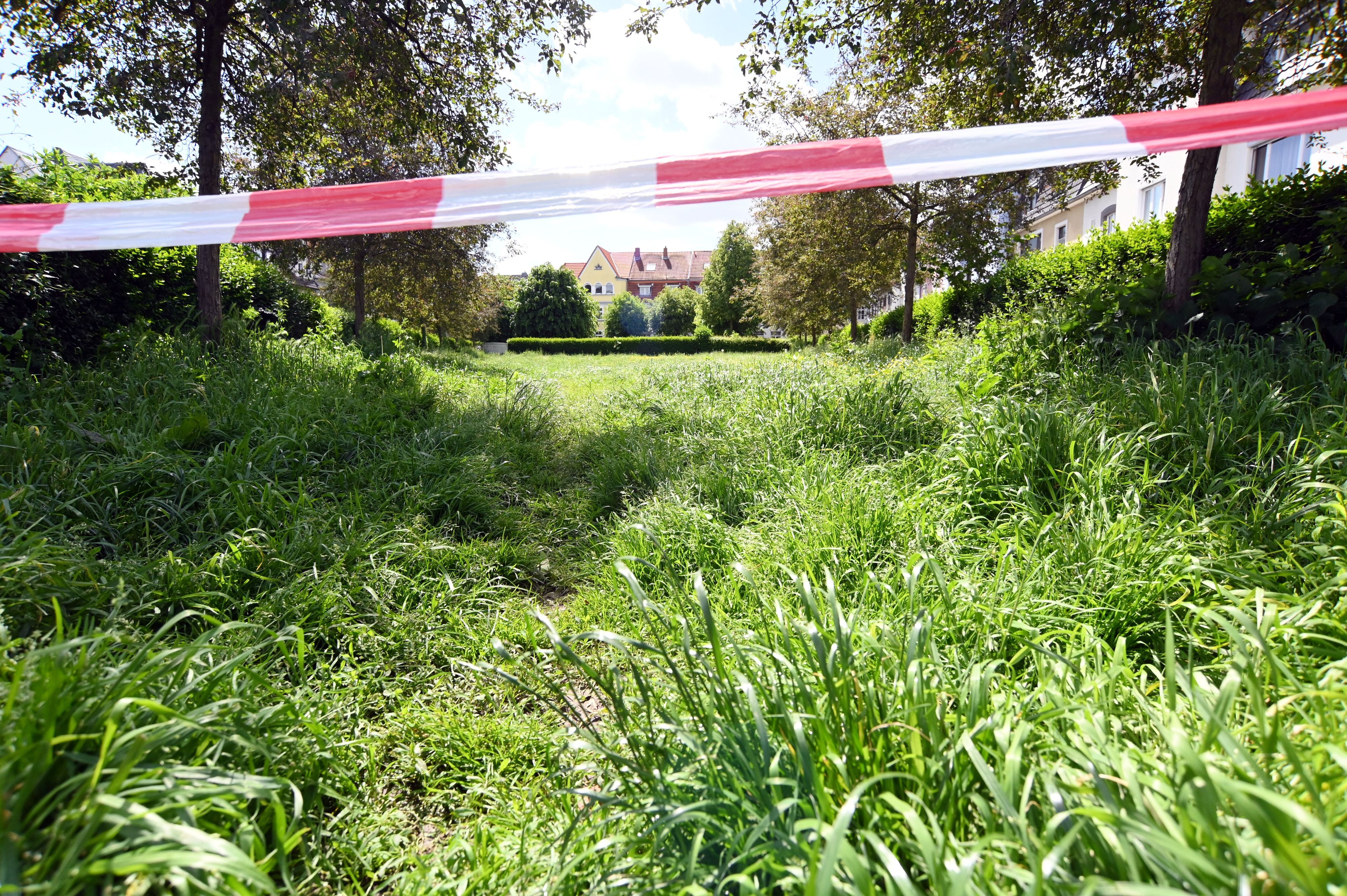 Die Rasenfläche auf dem Pauliplatz in Braunsfeld soll zu einer Blühwiese werden – einige Anwohner stört das.