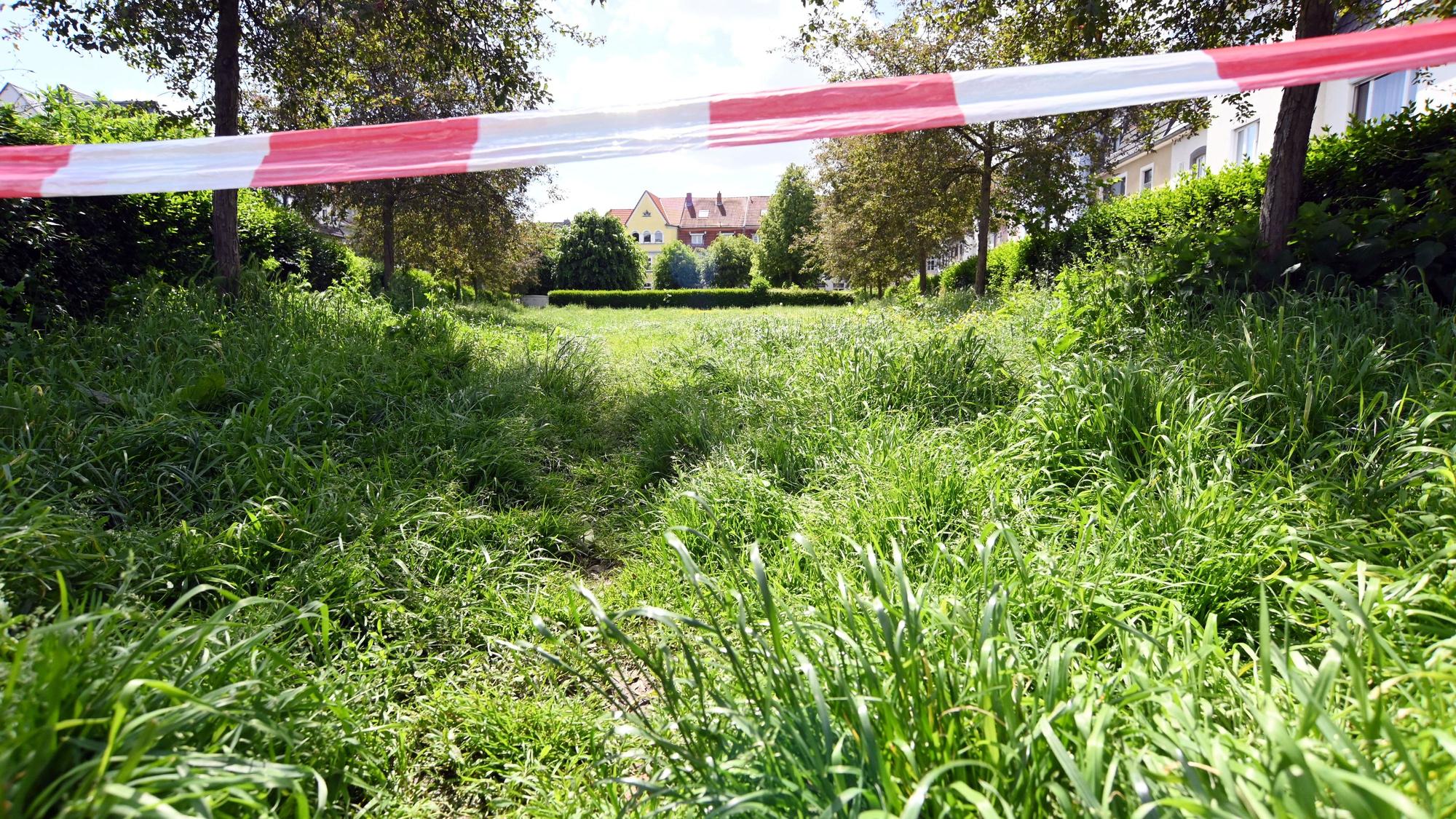 Die Rasenfläche auf dem Pauliplatz in Braunsfeld soll zu einer Blühwiese werden – einige Anwohner stört das.