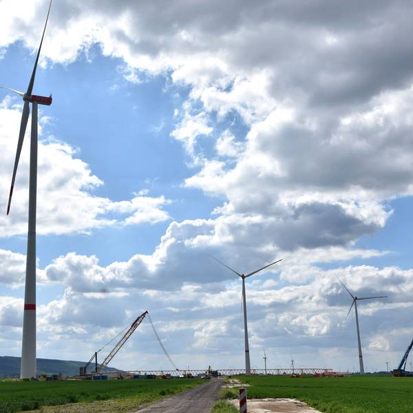 Das Foto zeigt Windräder.