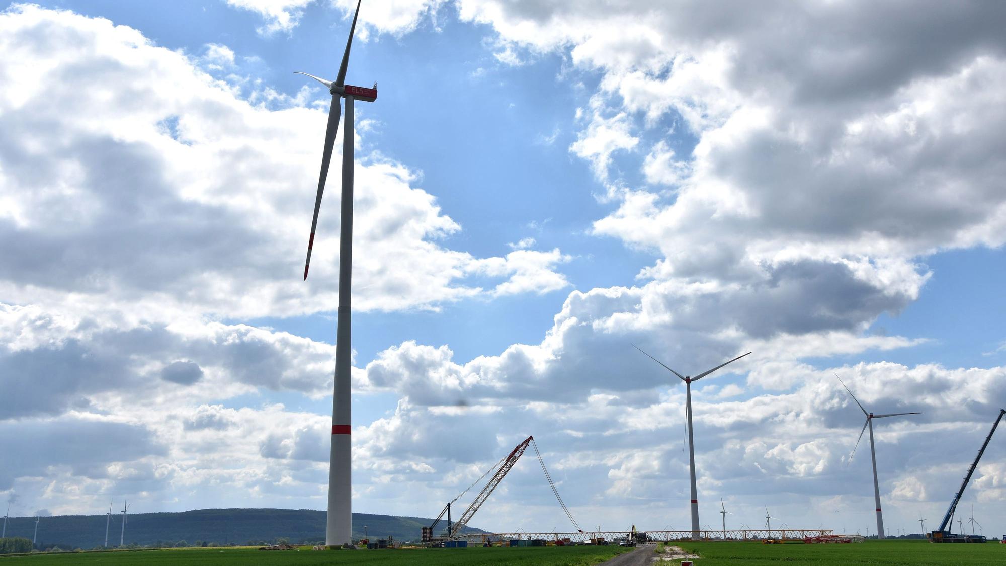 Das Foto zeigt Windräder.