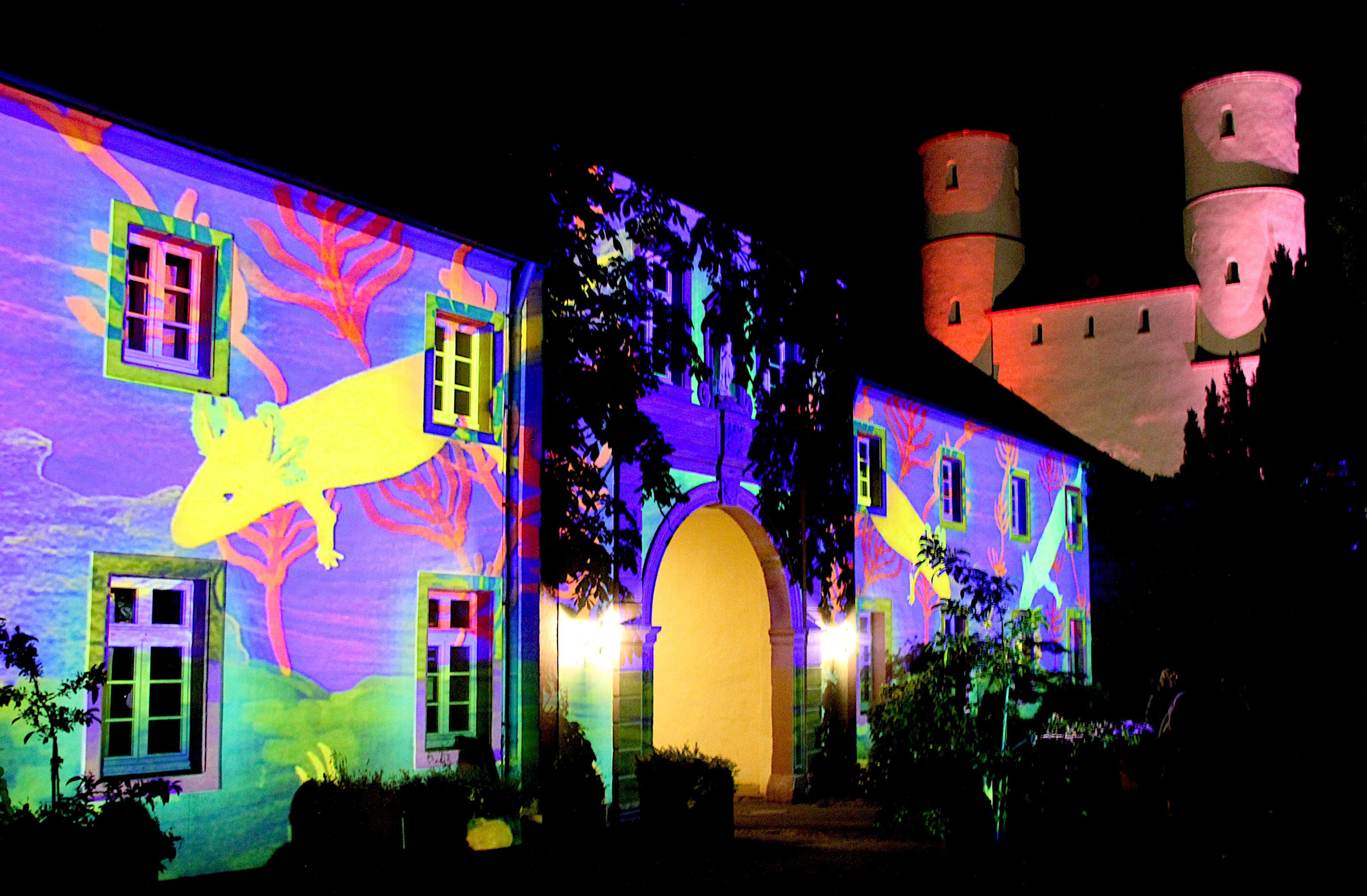 Auf der Klosterfassade leuchten die Werke der Schüler in allen Farben. Im Hintergrund sind die beiden Türme des Klosters angestrahlt.