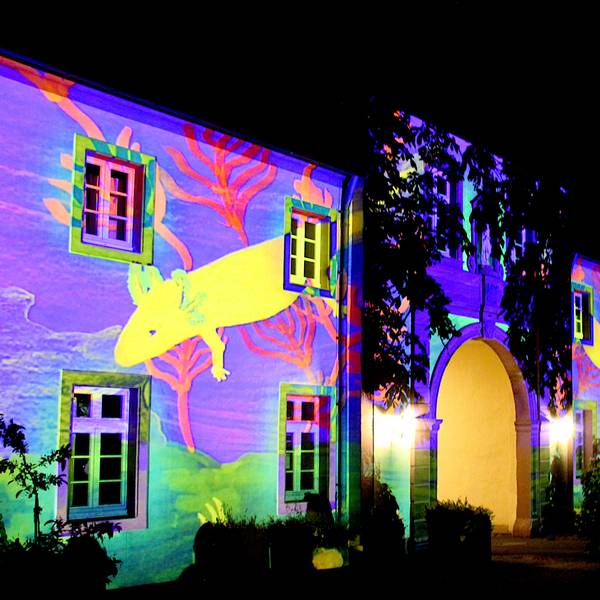 Auf der Klosterfassade leuchten die Werke der Schüler in allen Farben. Im Hintergrund sind die beiden Türme des Klosters angestrahlt.