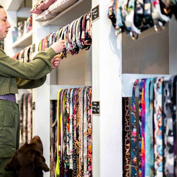Das Bild zeigt Luisa Hövel, wie sich Hundehalsbänder in ihrem Laden drapiert.