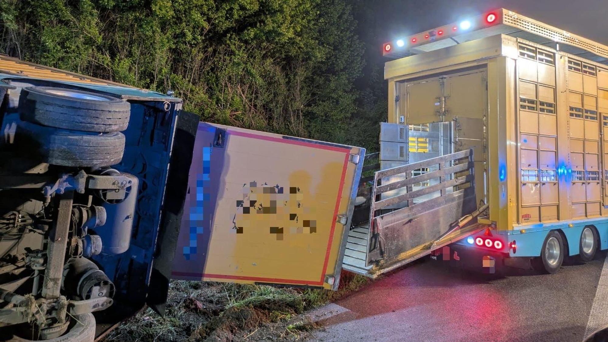 Zwei Tiertransporter stehen an der A1 bei Wermelskirchen. Einer ist auf die Seite gekippt.