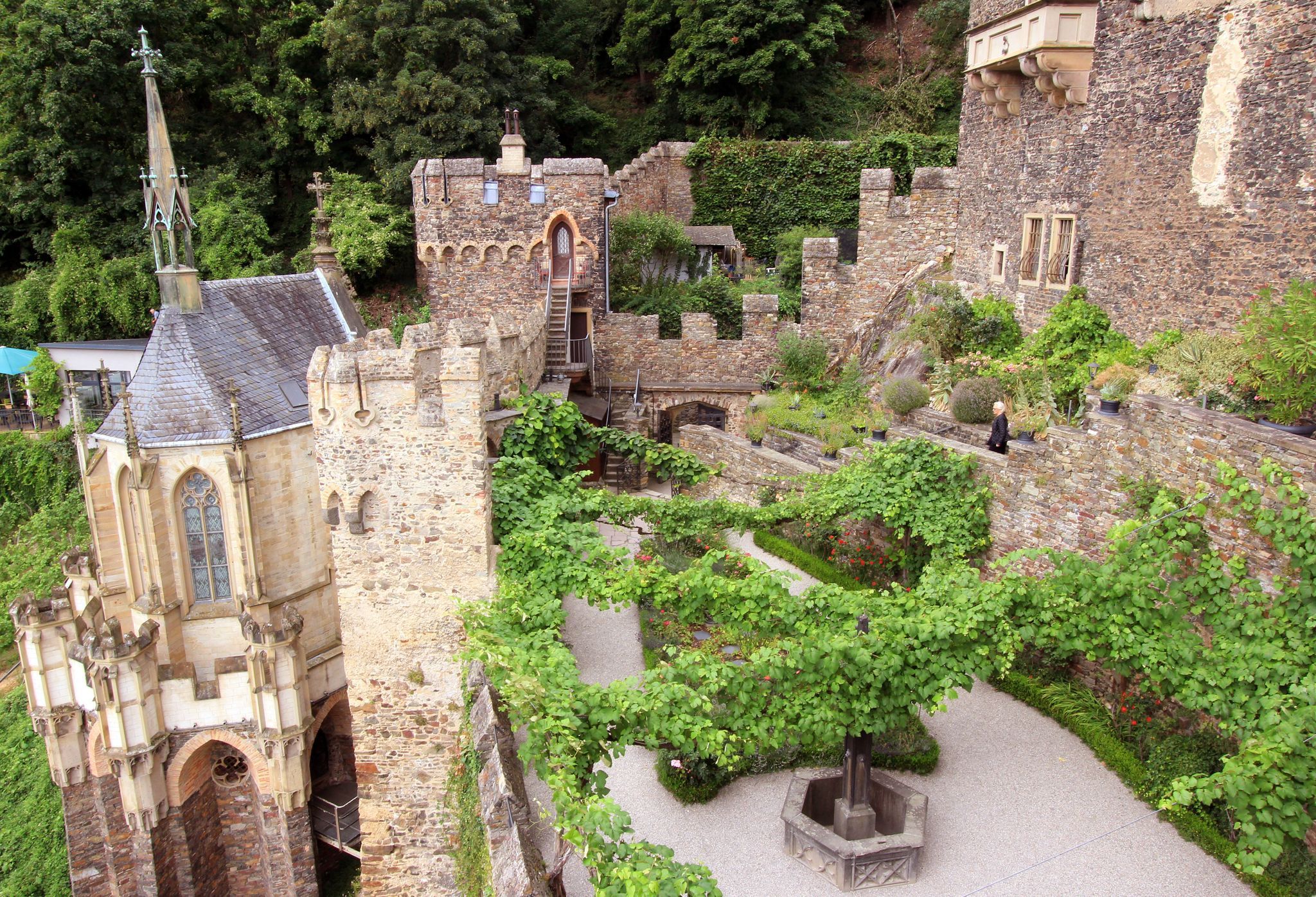 Burgundergarten mit Rebstöcken auf der Burg Rheinstein