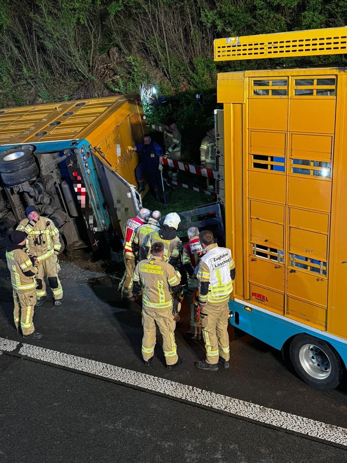 Zwei Viehtransporter stehen nebeneinander an der A1. Ein Fahrzeug liegt auf der Seite.