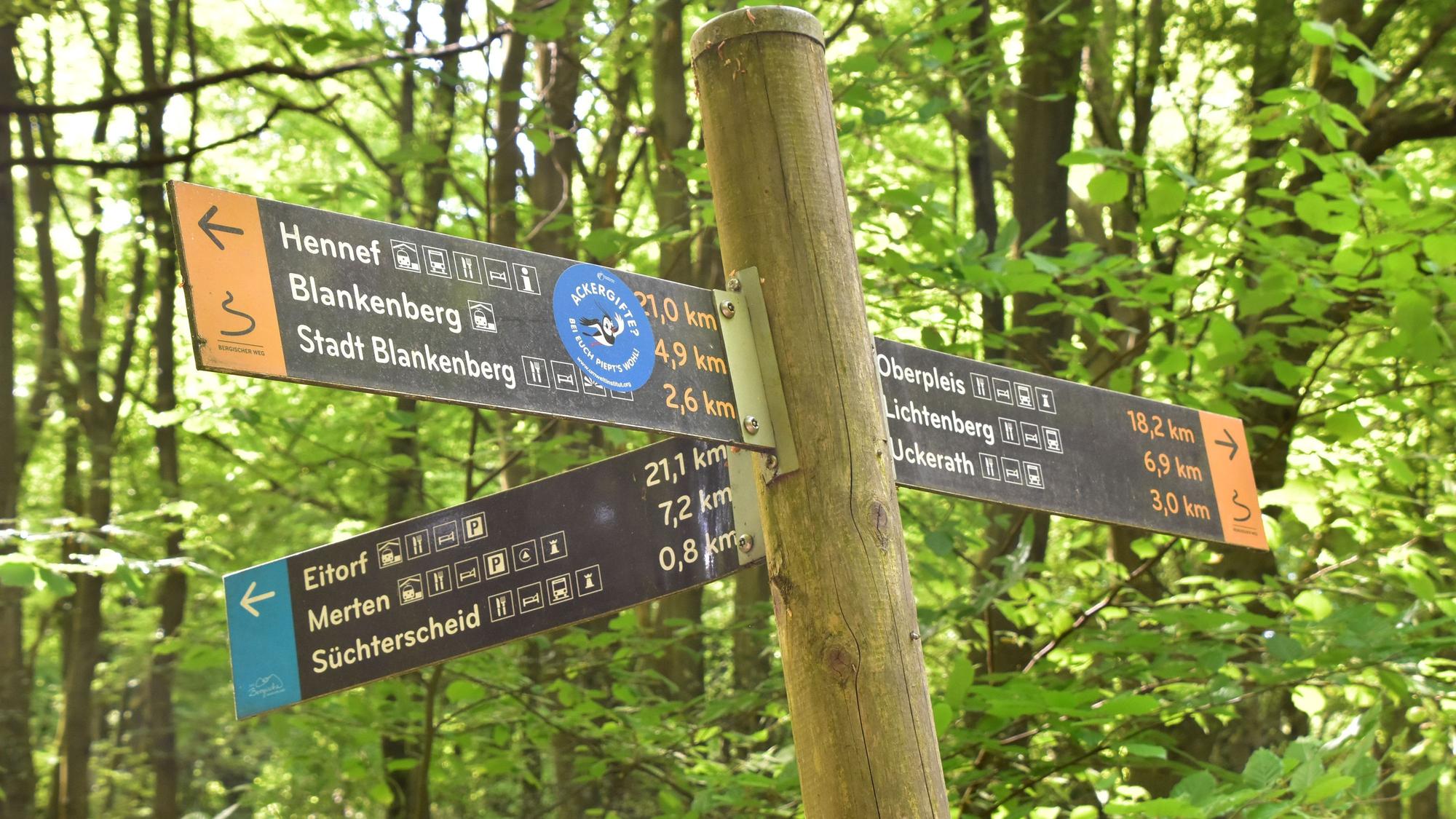 Wegweiser an einer Kreuzung von Wanderwegen.