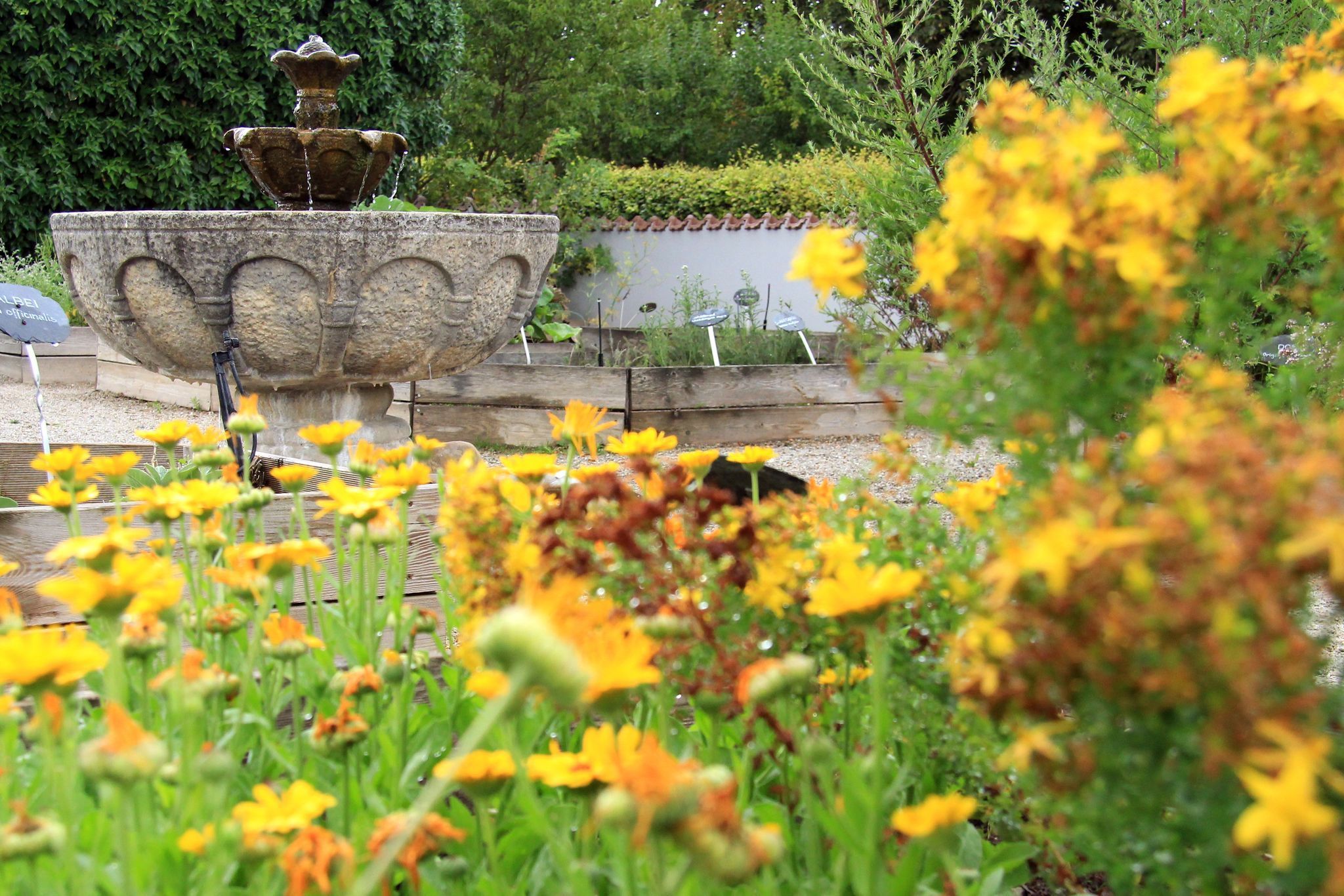 Hildegard von Bingen-Heilkräutergarten