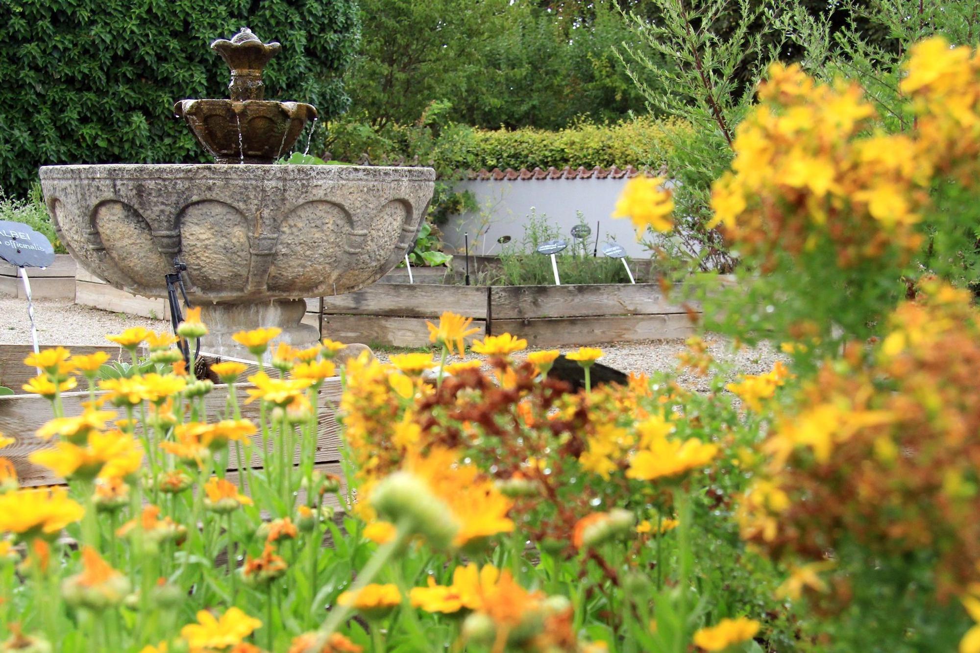 Hildegard von Bingen-Heilkräutergarten