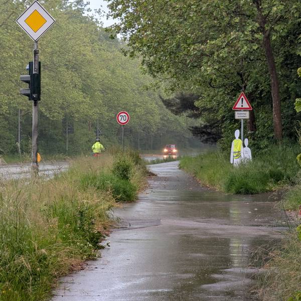 Das Foto zeig die hochgewachsene Vegetation, im Hintergrund die Gedenkstätte für die beiden jungen Unfallopfer.