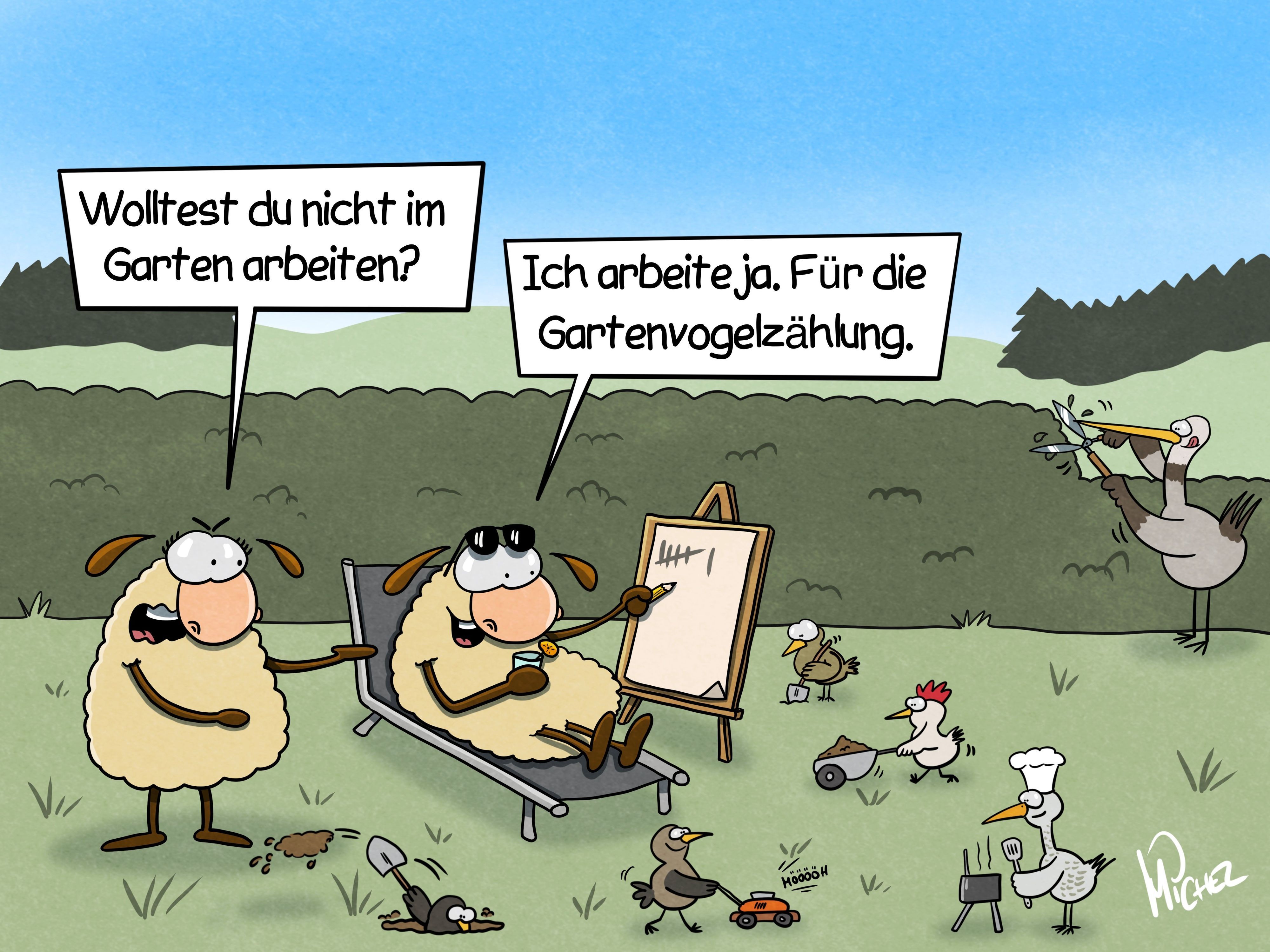 Zwei Schafe im Garten. Um sie herum arbeiten viele Vögel im Garten. Ein Schaf liegt auf einer Liege und führt Strichliste. Das andere fragt: „Wolltest du nicht im Garten arbeite?“ Das liegende Schaf antwortet: „Ich arbeite ja. Für die Gartenvogelzählung.“