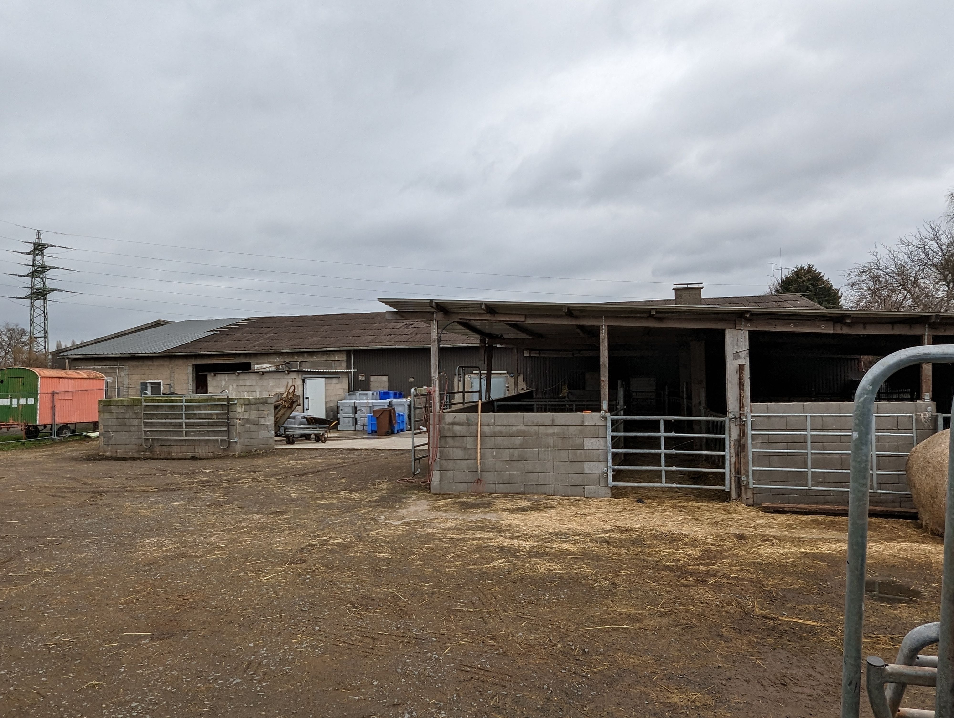 Der Schlachthof in Hürth-Fischenich war nach Bekanntwerden der Vorwürfe vom Veterinäramt des Kreises geschlossen worden.