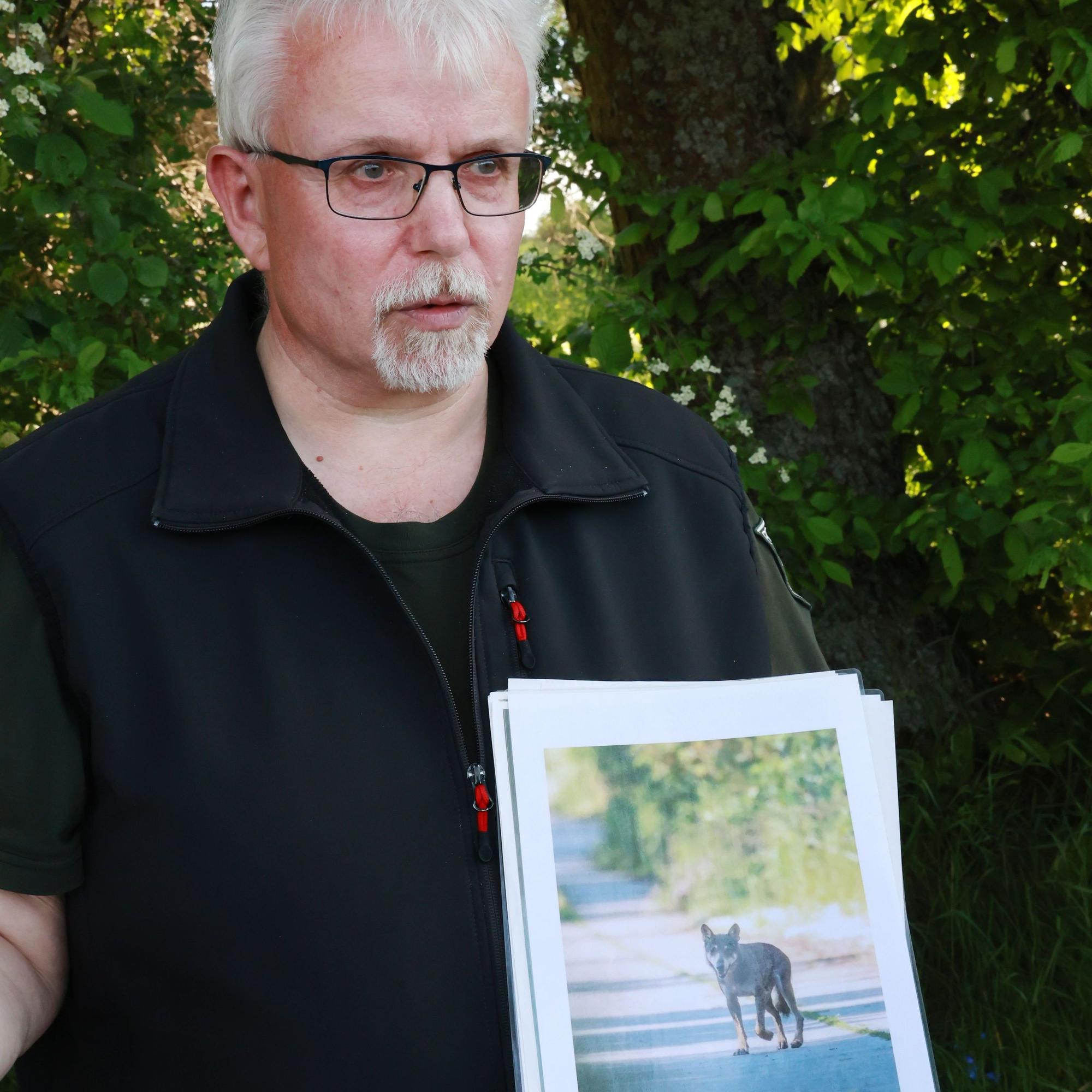 Der Förster hält ein Foto, das den Wolfsrüden zeigt.