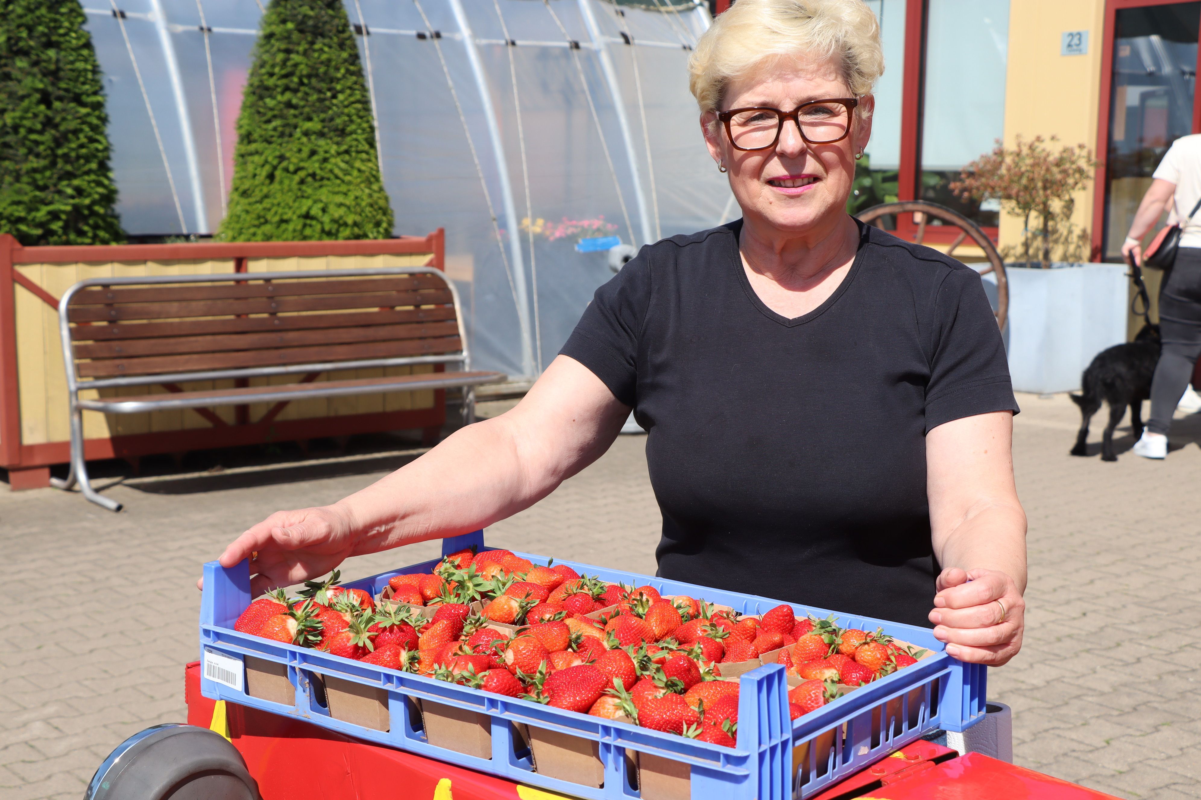 Eine Frau trägt eine Kiste Erdbeeren.